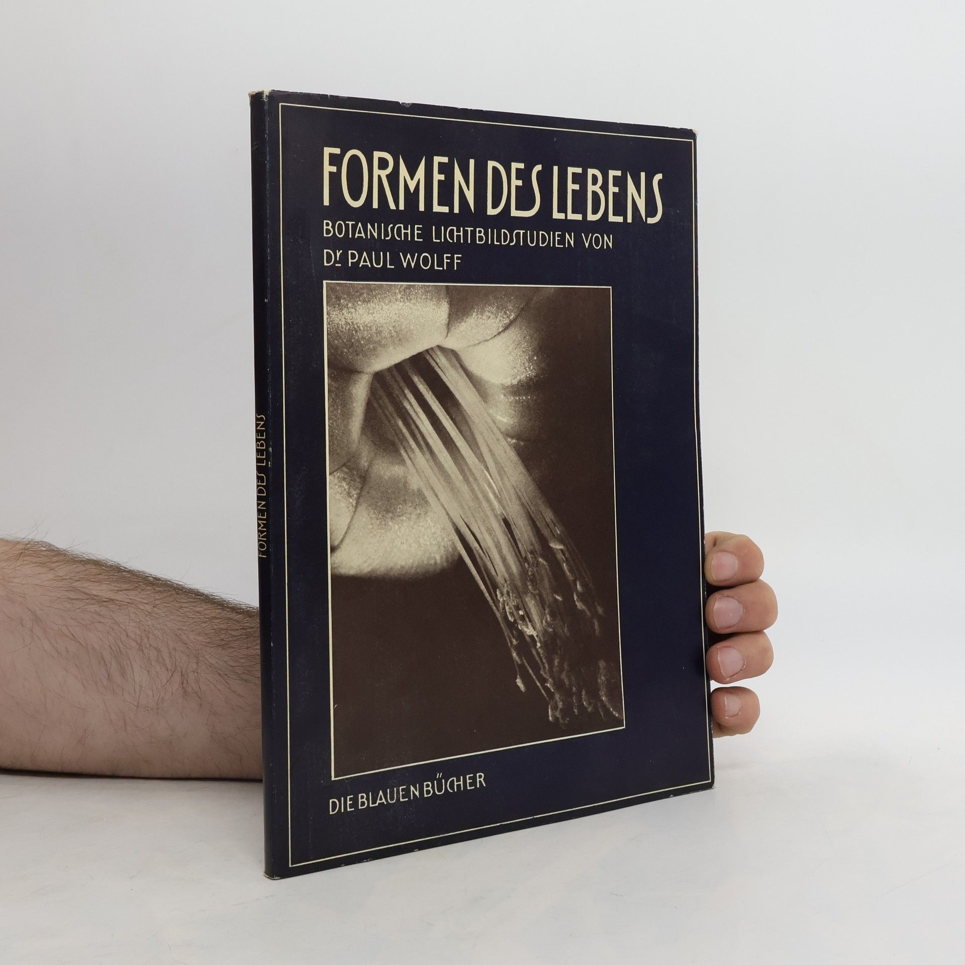Paul Wolff Formen des Lebens