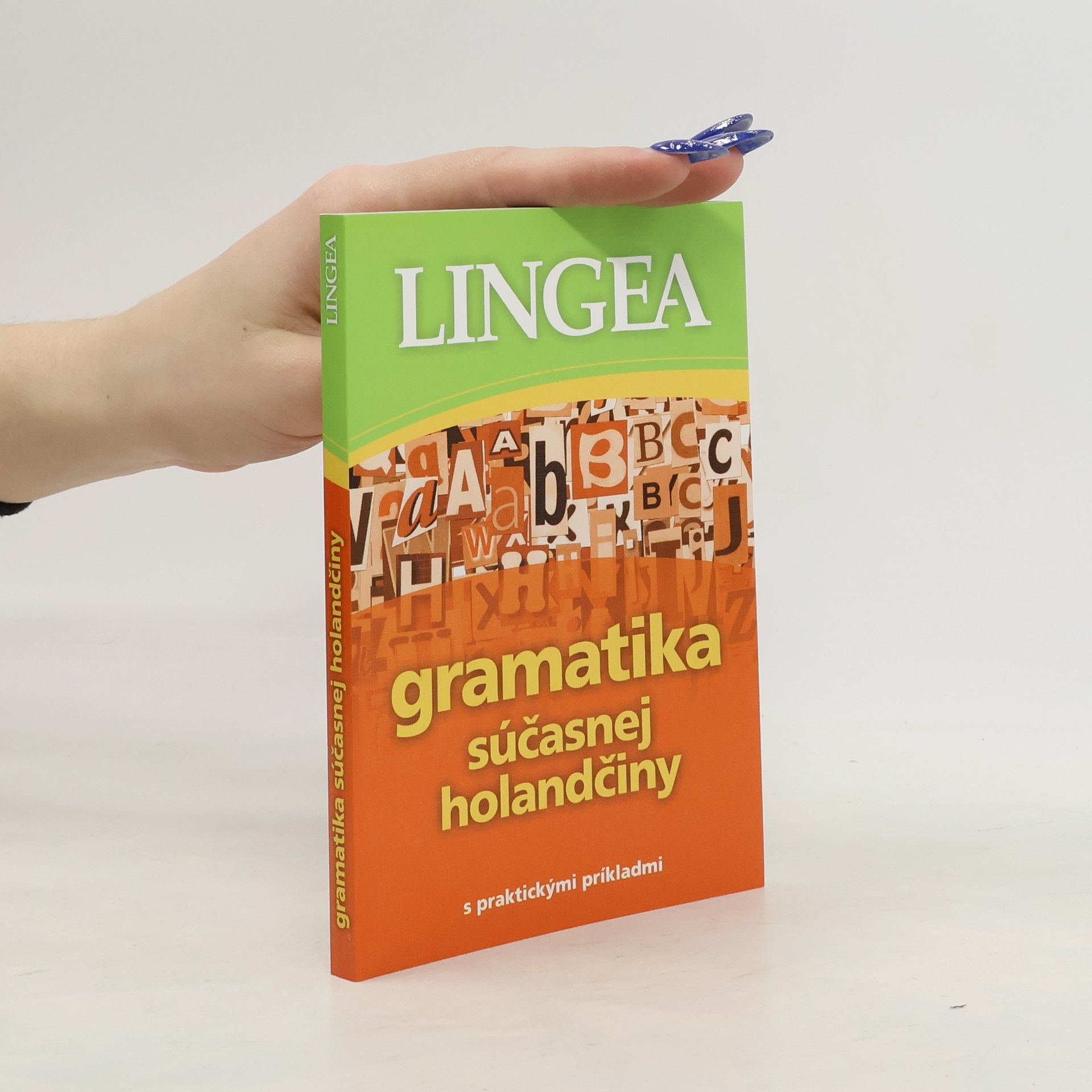 kolektiv Gramatika súčasnej holandčiny