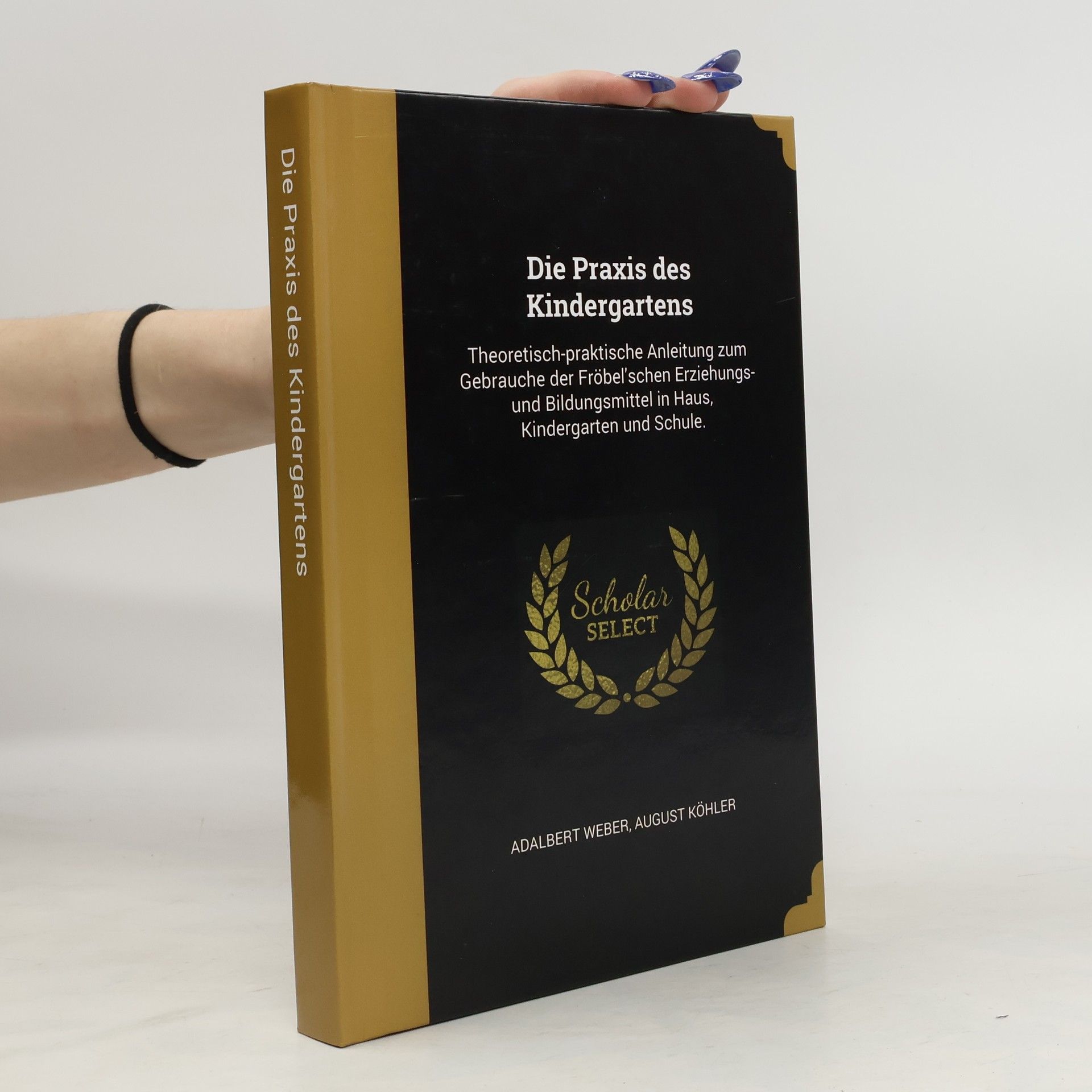 Adalbert Weber Die Praxis des Kindergartens: Theoretisch-praktische Anleitung zum Gebrauche der Fröbel'schen Erziehungs-und Bildungsmittel in Haus, Kindergarten und Schule
