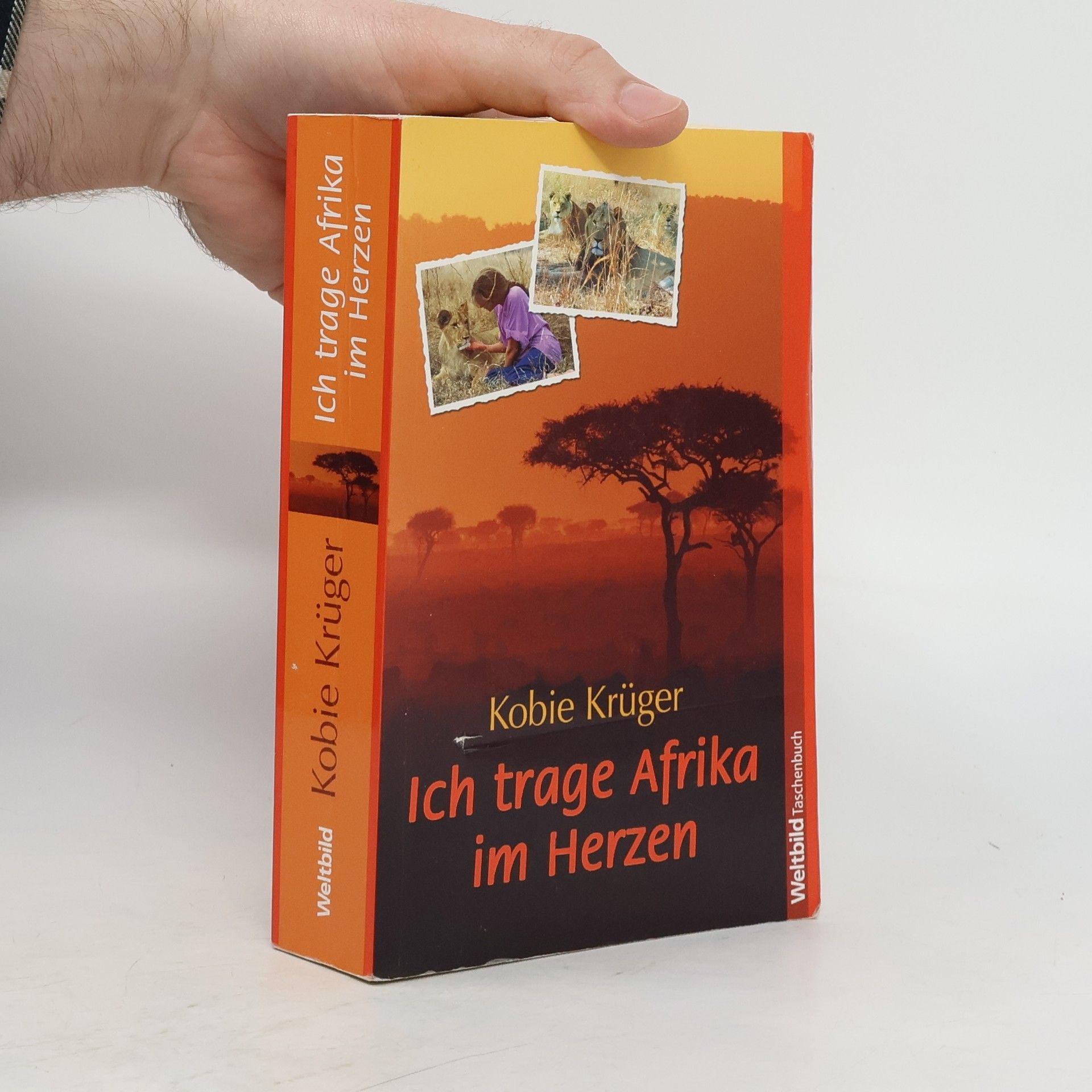 Kobie Krüger Ich trage Afrika im Herzen