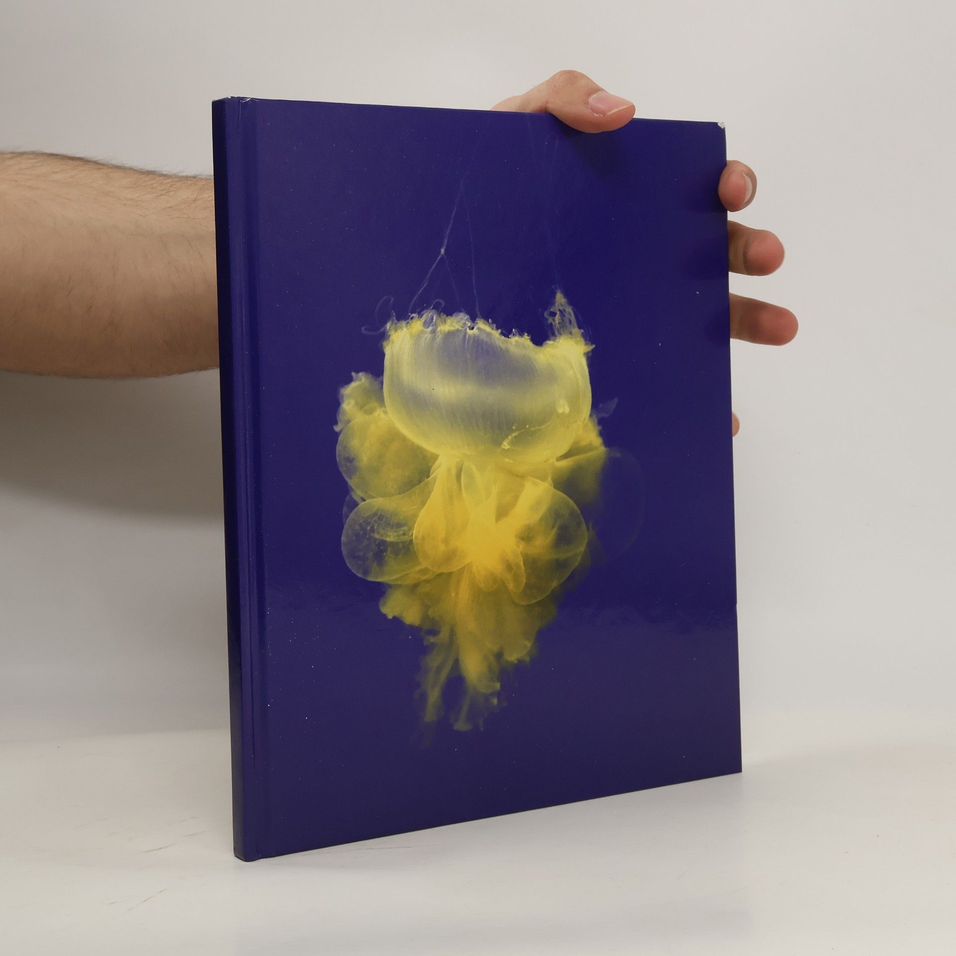 Aurelien Froment Pulmo Marina