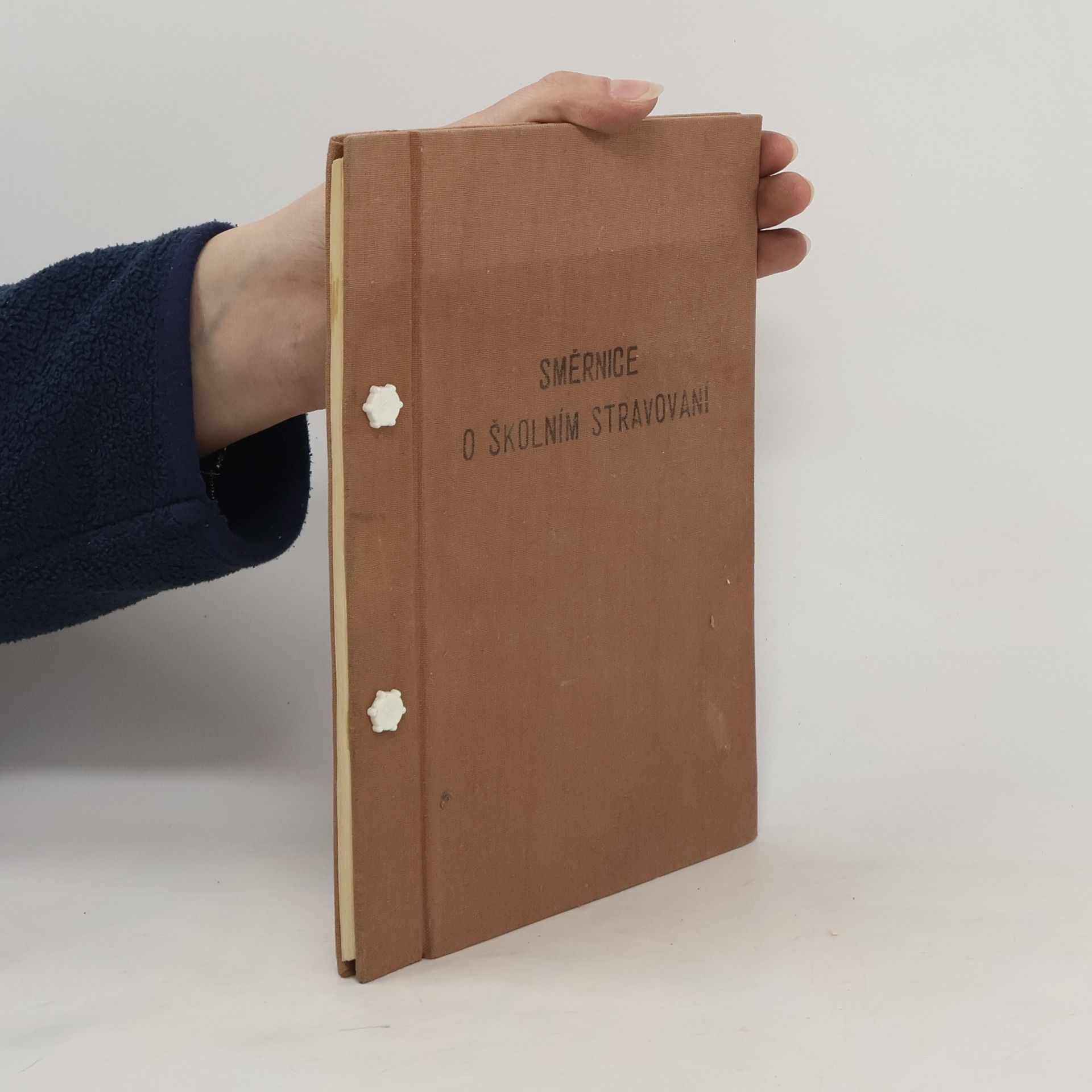 Kolektiv autorů Směrnice o školním stravování