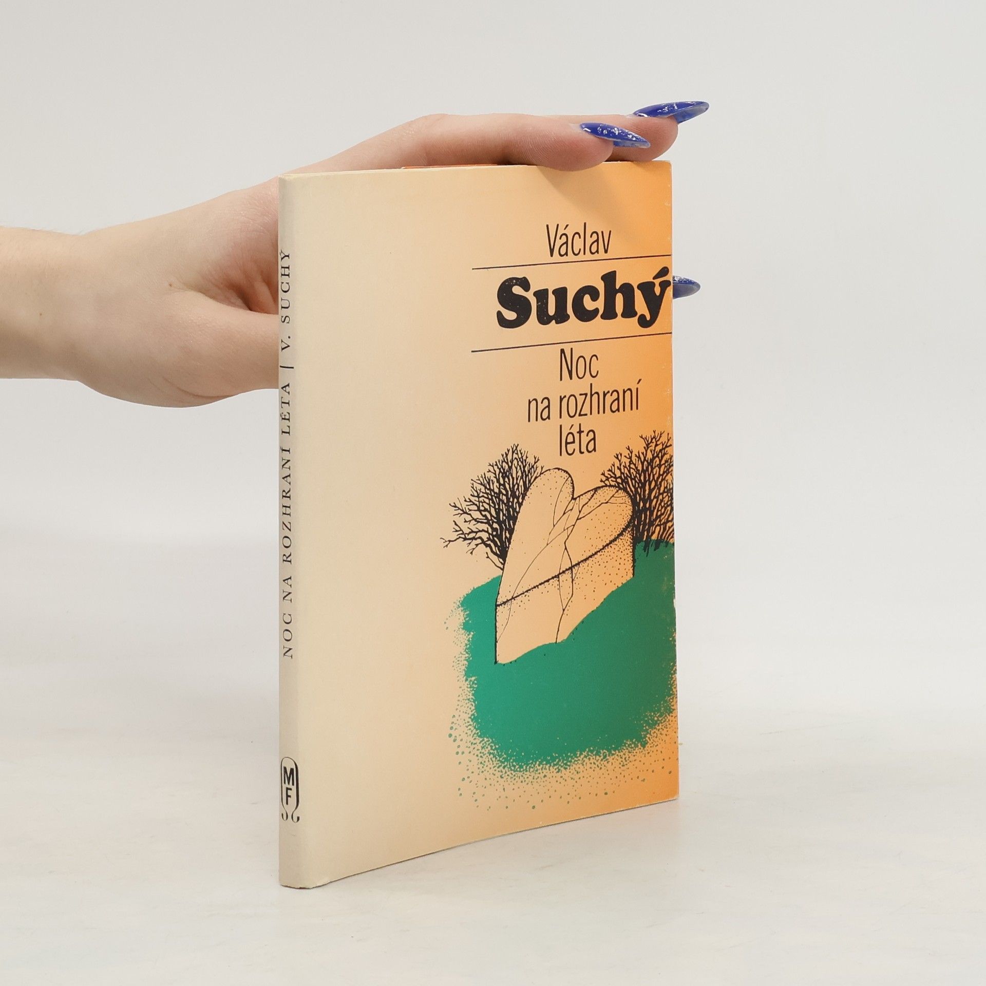 Václav Suchý Noc na rozhraní léta