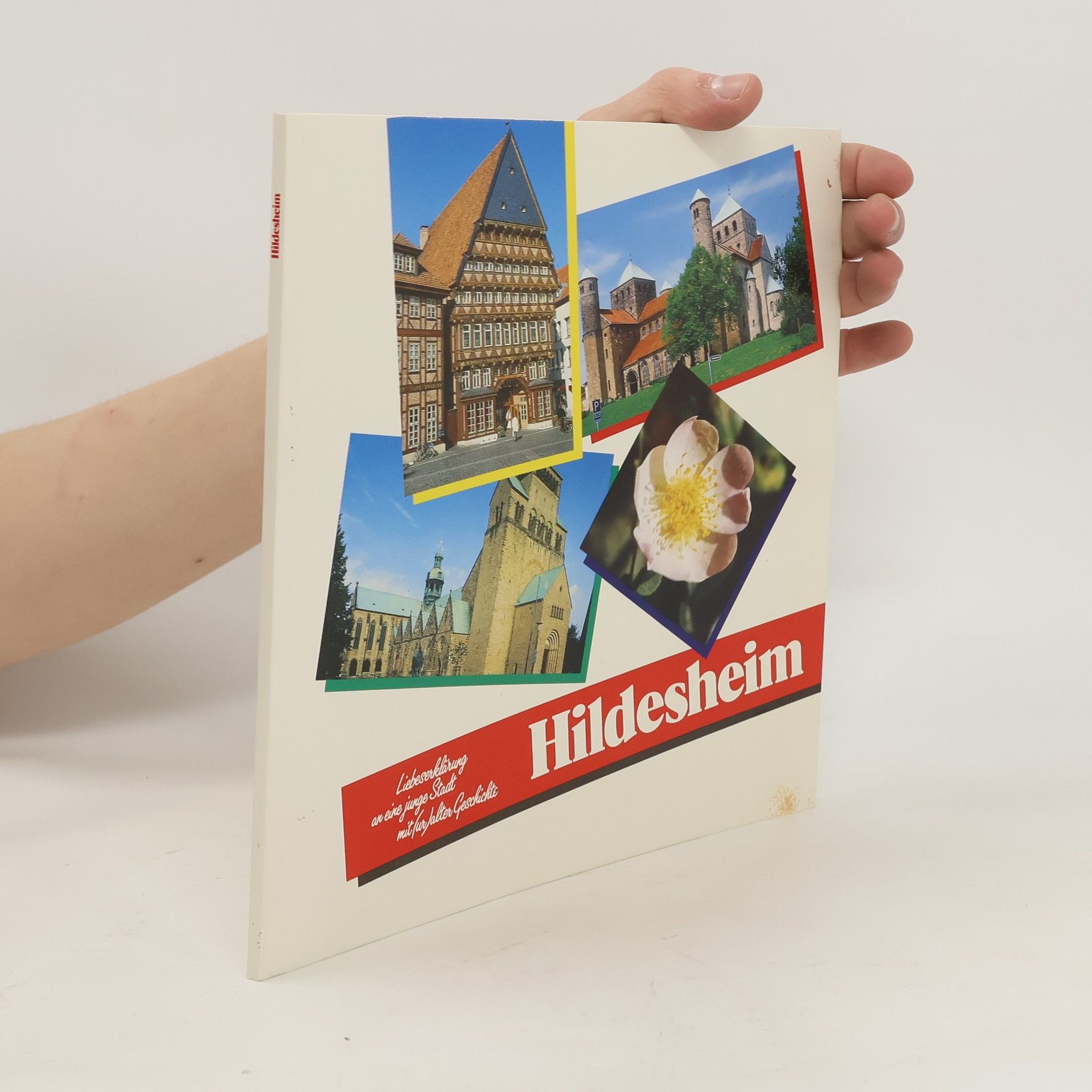 kolektiv Liebeserklärung an eine junge Stadt mit für Halter Geschichte: Hildesheim