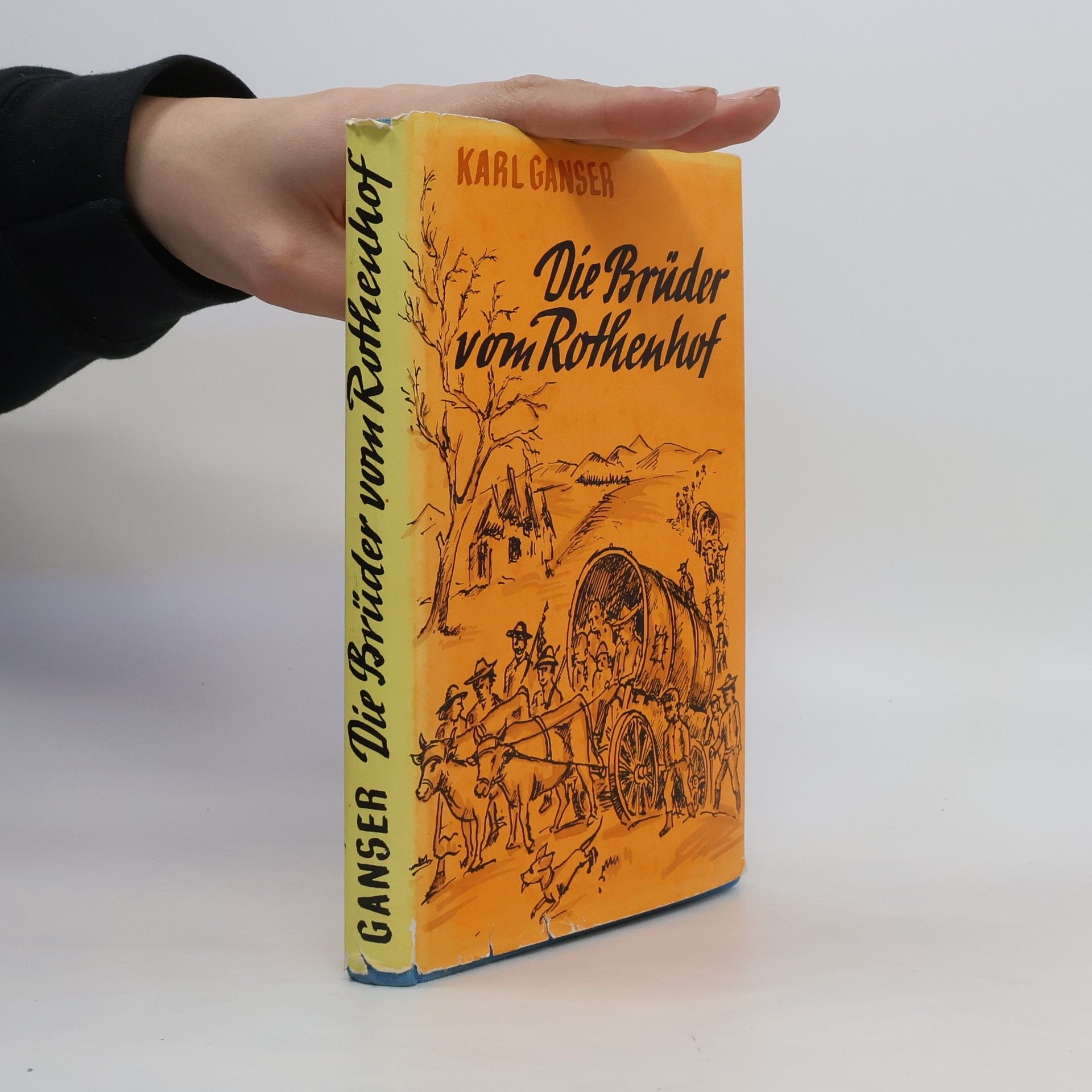 Karl Ganser Die Brüder vom Rothenhof