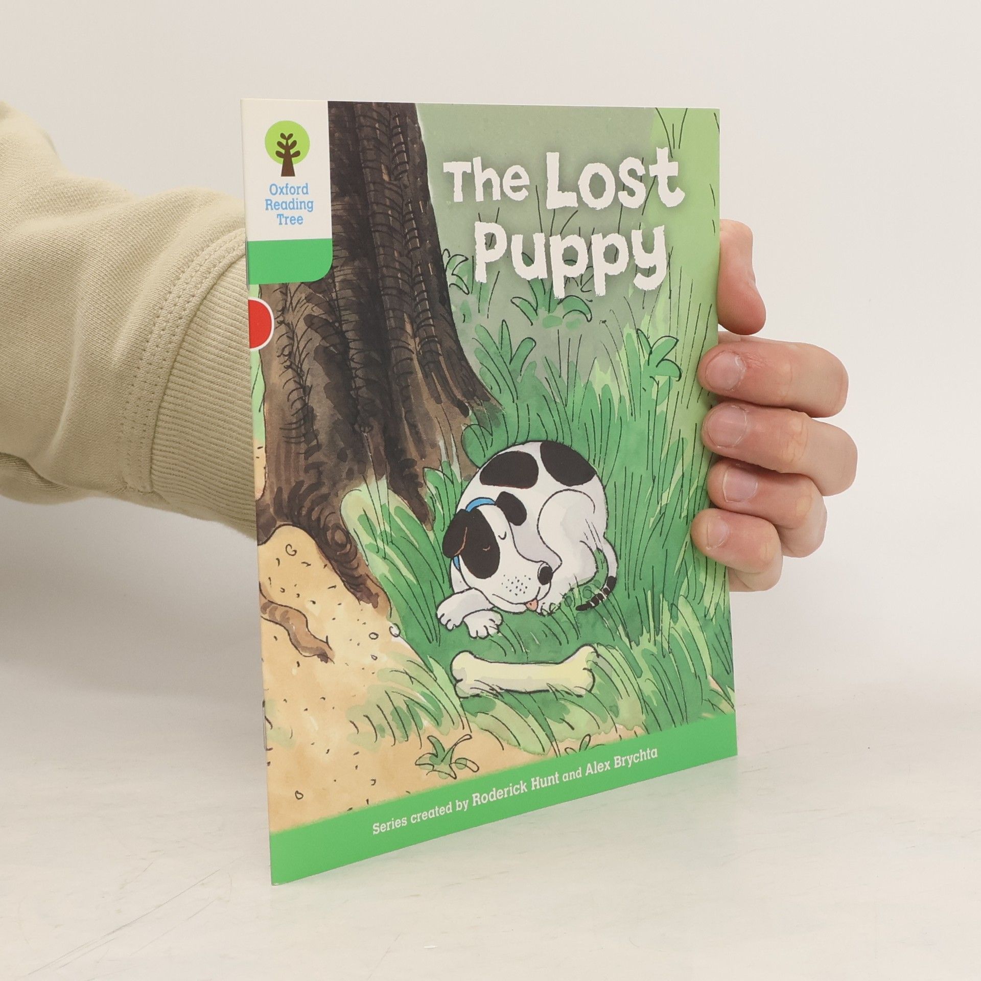 Roderick Hunt Oxford Reading Tree: Level 2: More Patterned Stories A: The Lost Puppy