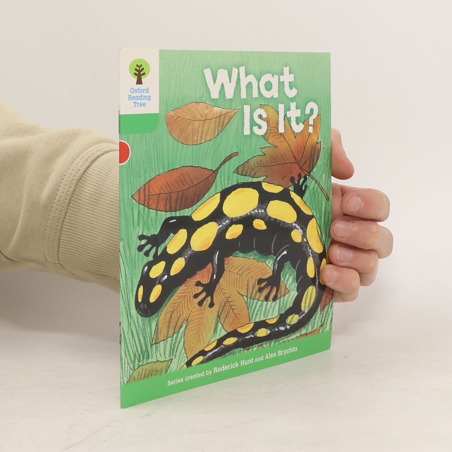 Paeony Lewis Oxford Reading Tree: Level 2: More Patterned Stories A: What Is It?