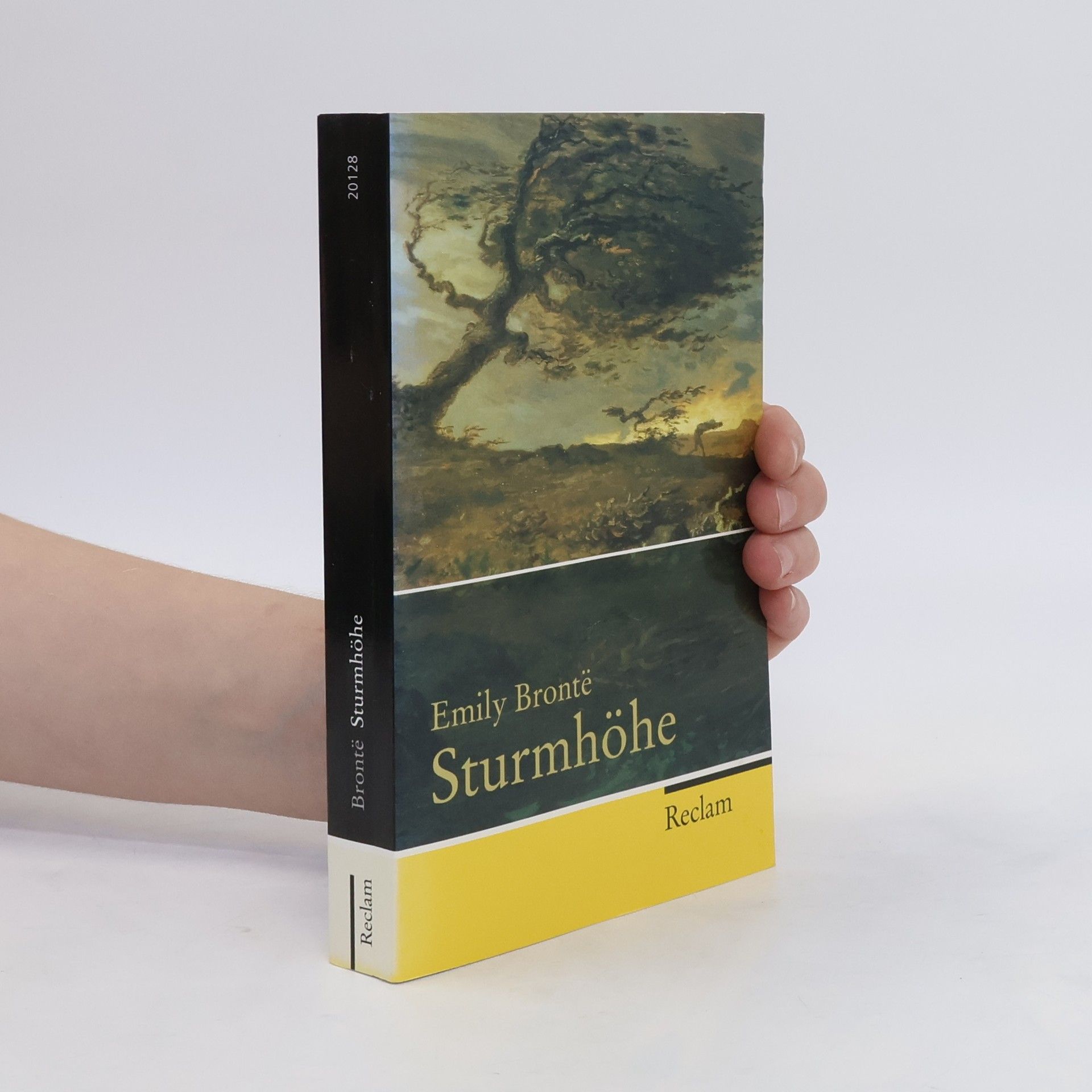 Emily Brontë Sturmhöhe