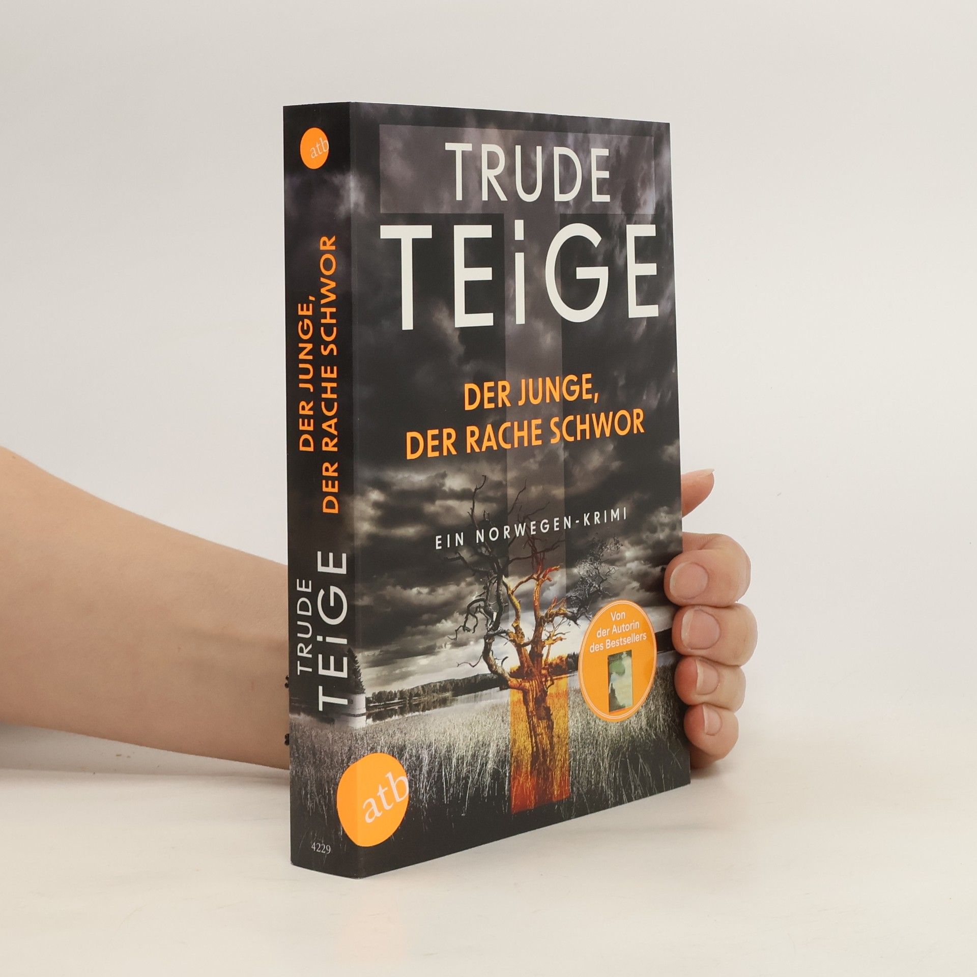 Trude Teige Der Junge, der Rache schwor