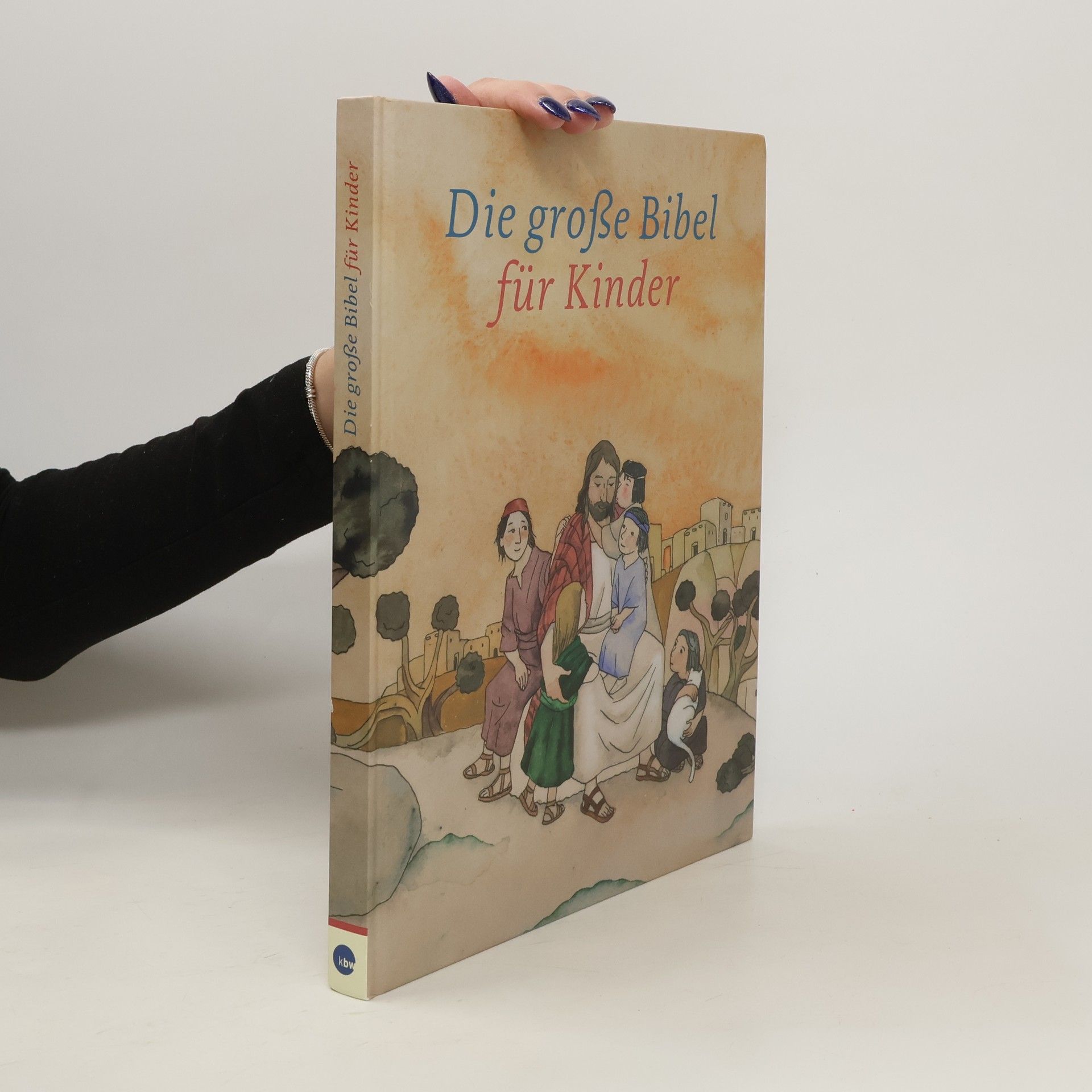 Federico Delicado Die große Bibel für Kinder