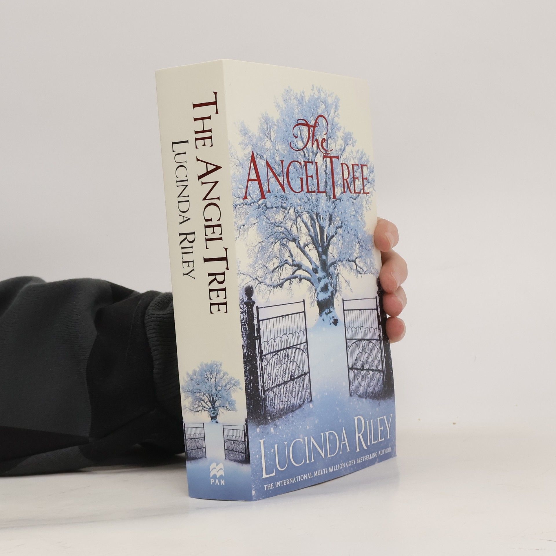 Lucinda Riley The Angel Tree