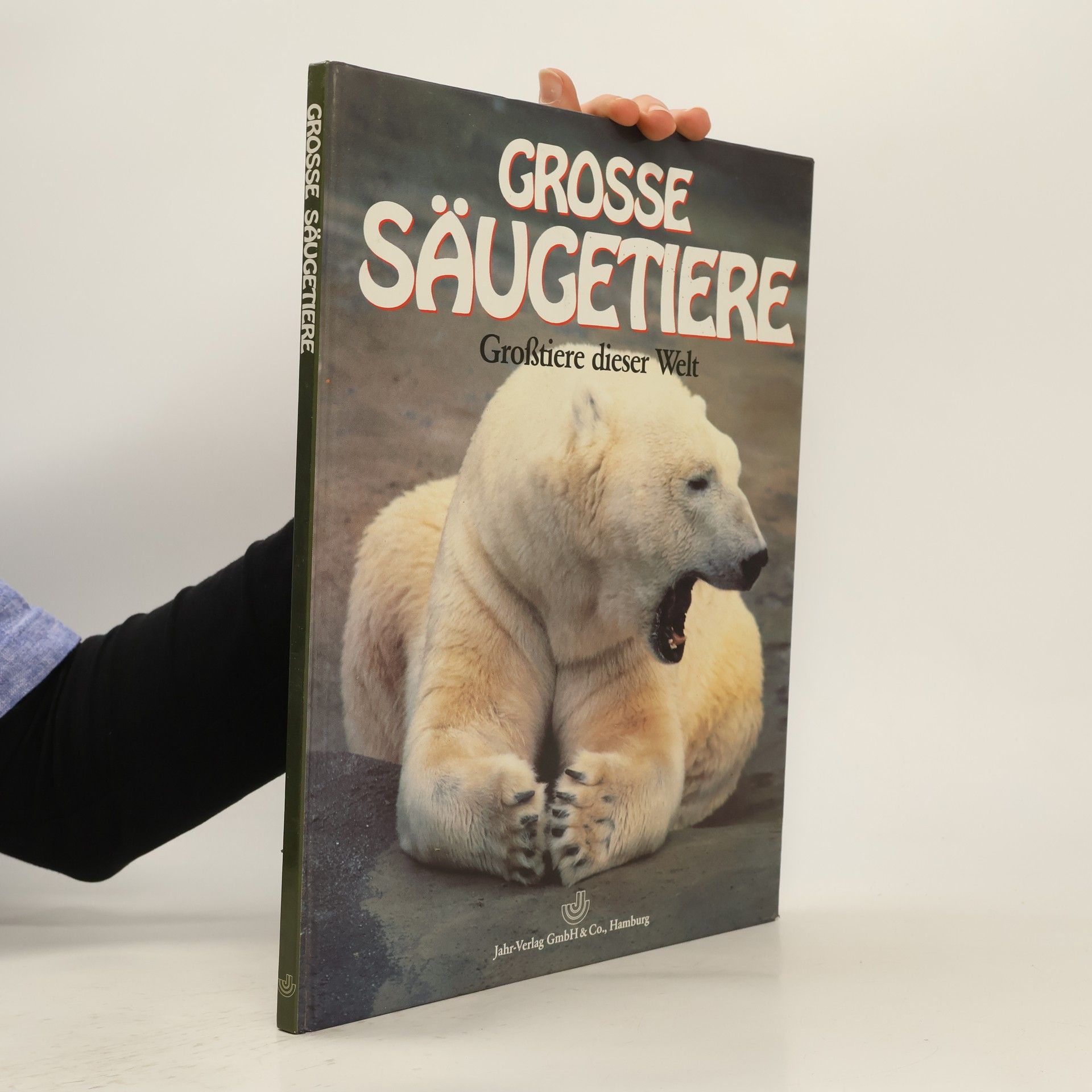 kolektiv Grosse Säugetiere