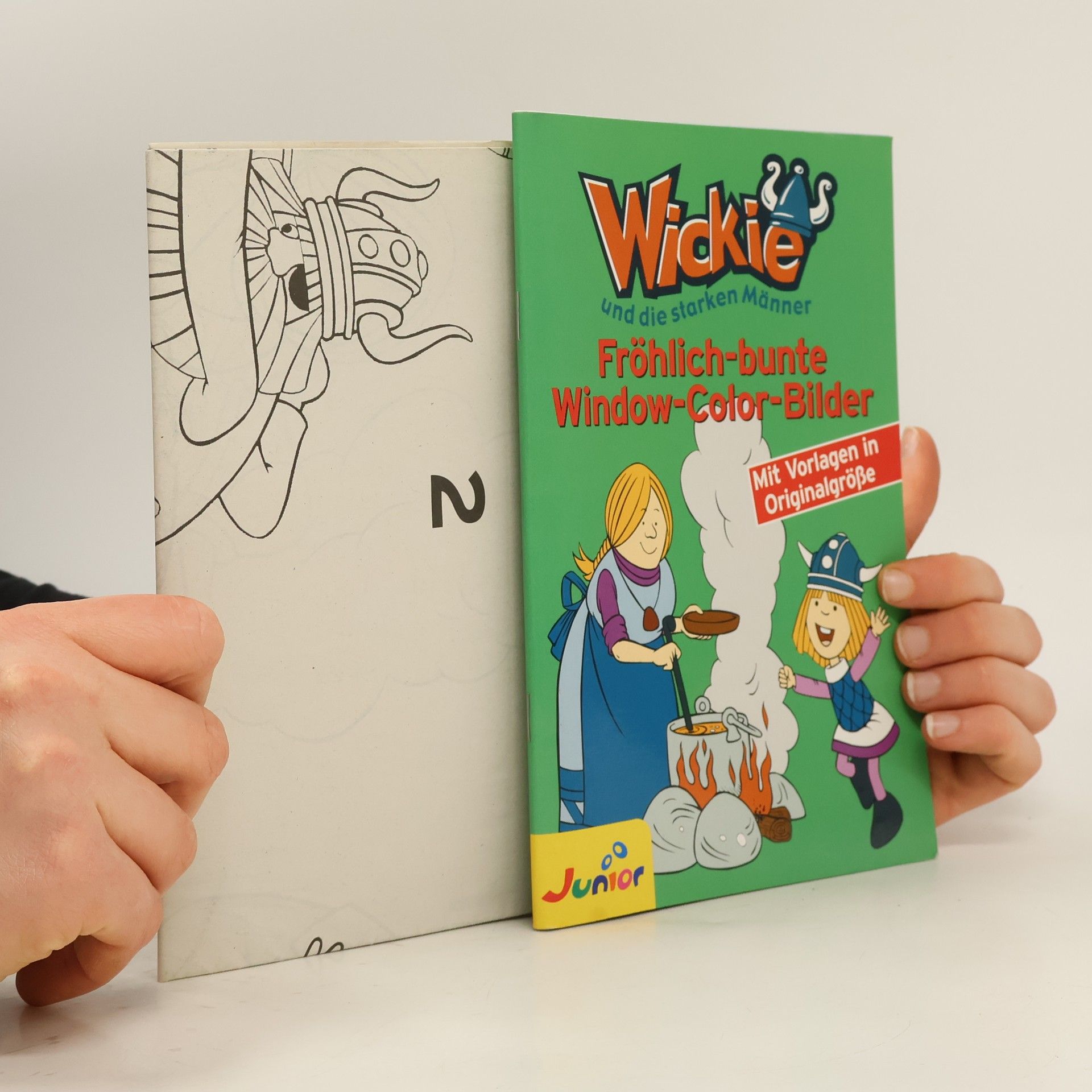 Collectif d'auteurs Wickie und die starken Männer