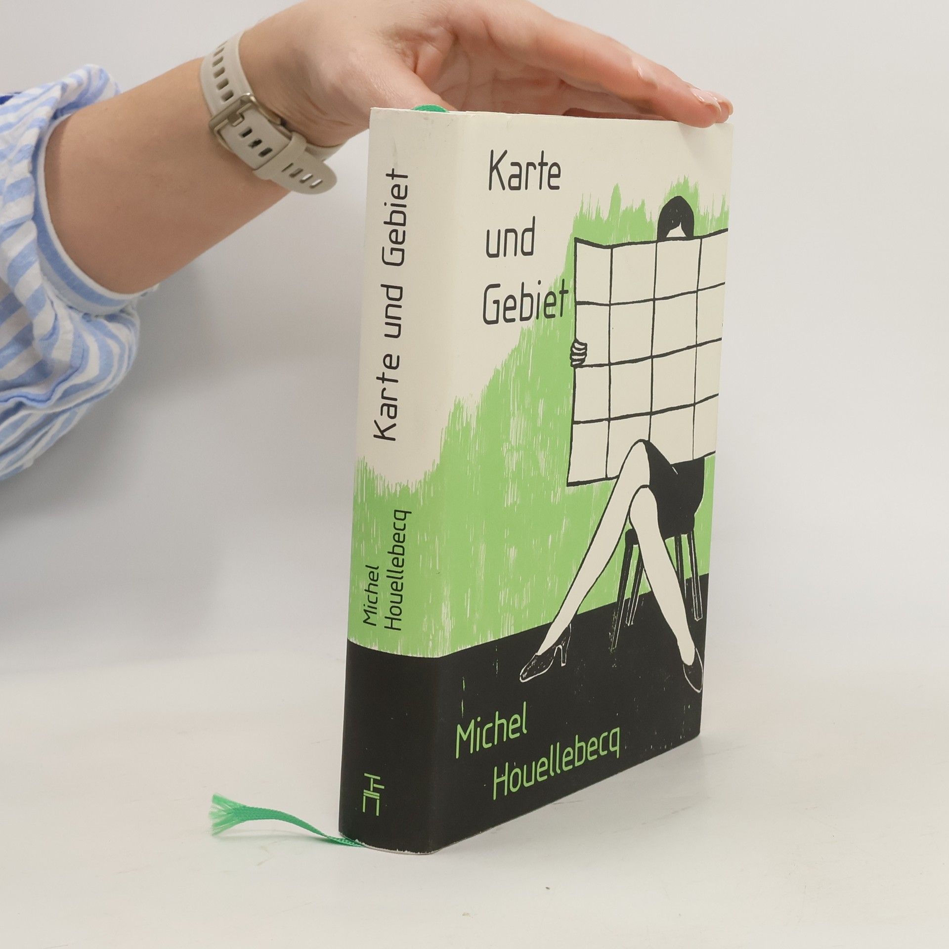 Michel Houellebecq Karte und Gebiet