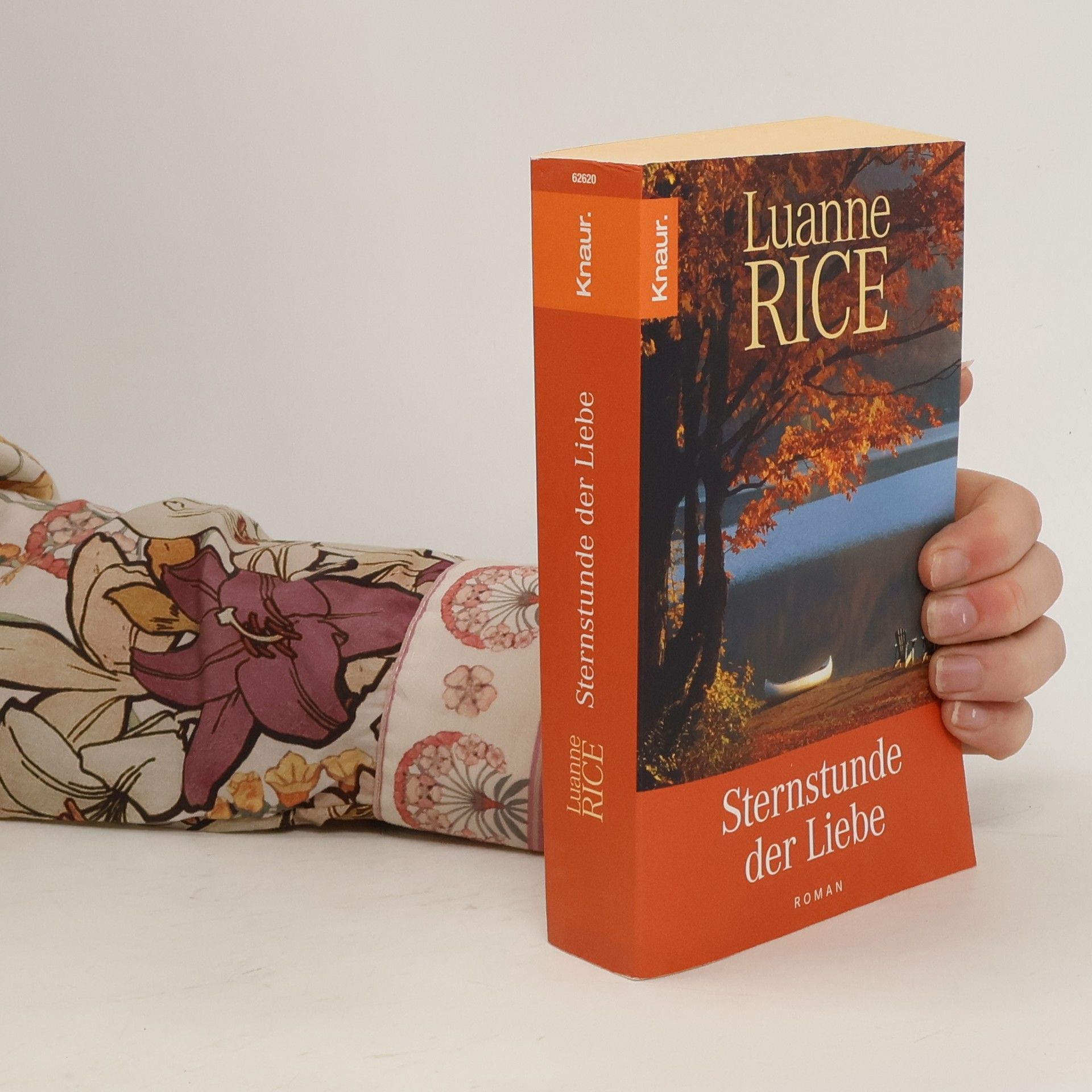 Luanne Rice Sternstunde der Liebe