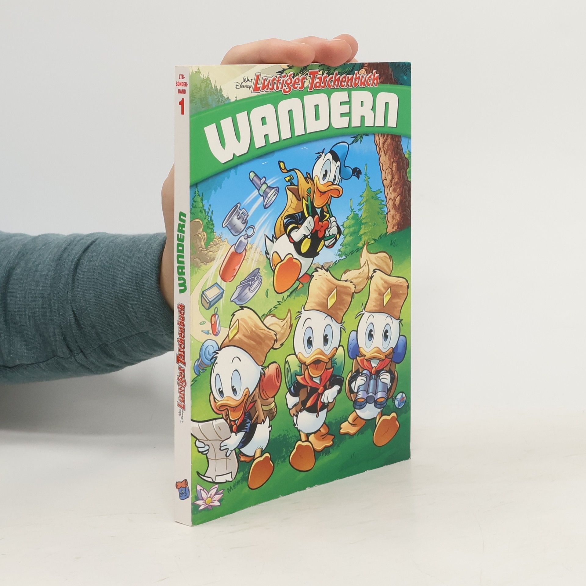 Walt Disney Lustiges Taschenbuch: Wandern