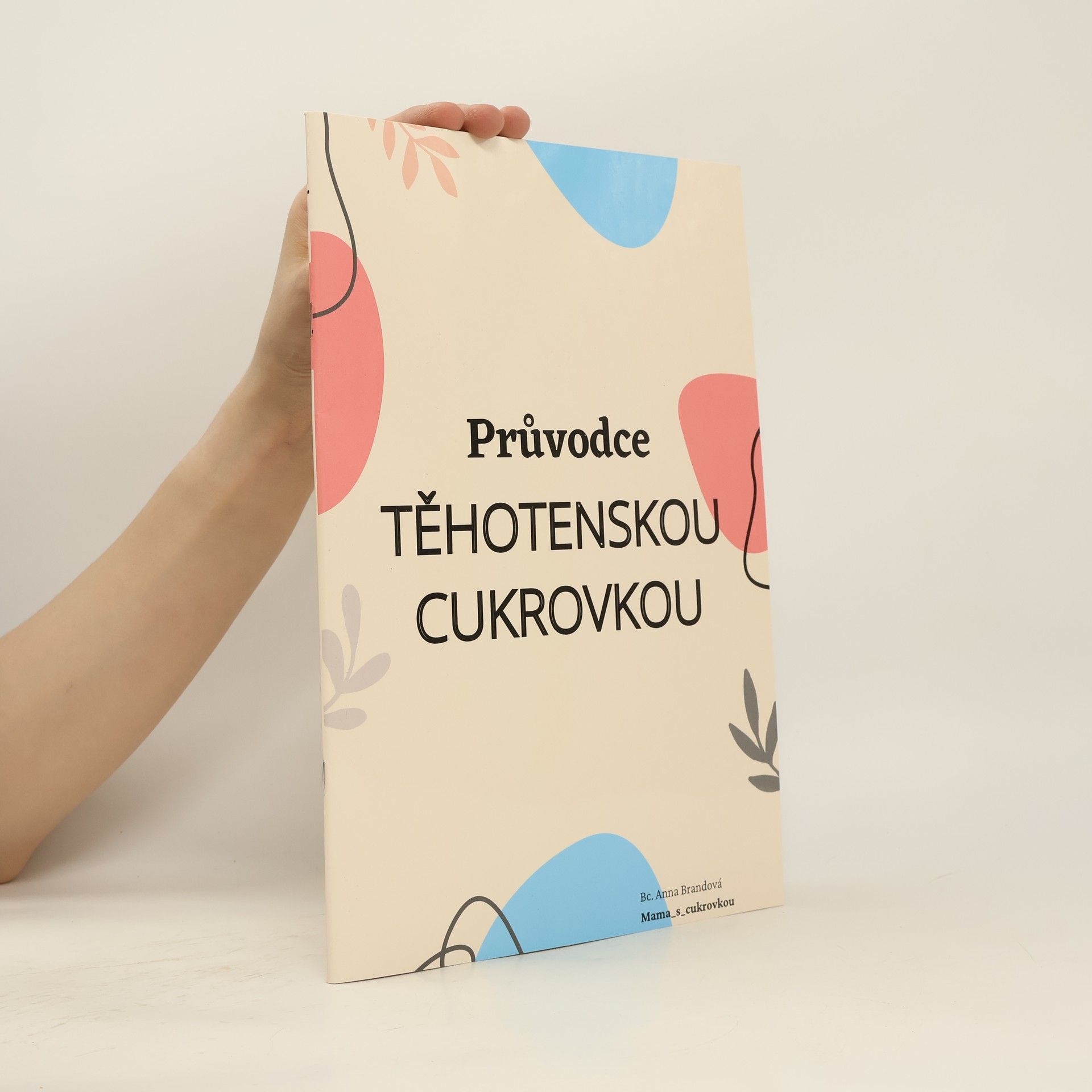 Anna Brandová Průvodce těhotenskou cukrovkou