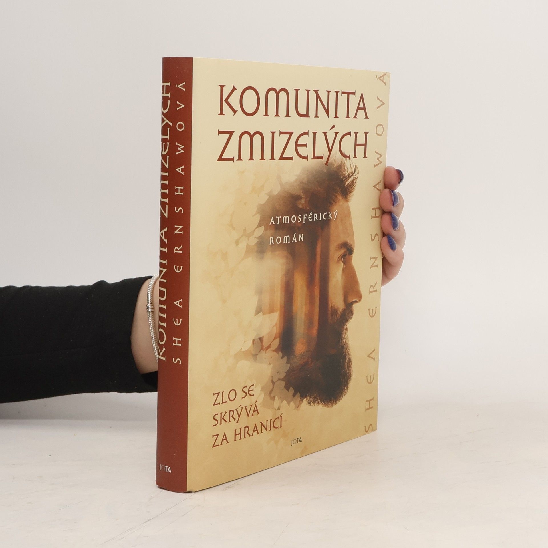 Shea Ernshaw Komunita zmizelých