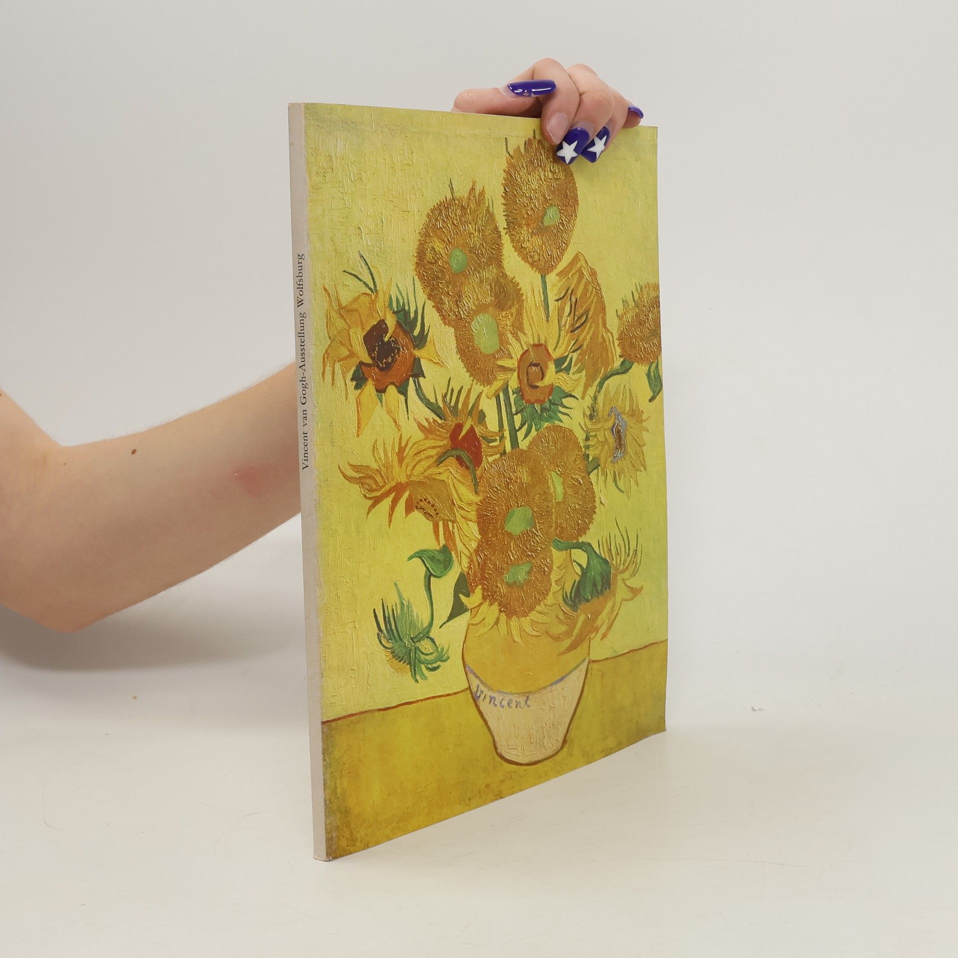 kolektiv Vincent van Gogh: Gemälde, Aquarelle, Zeichnungen