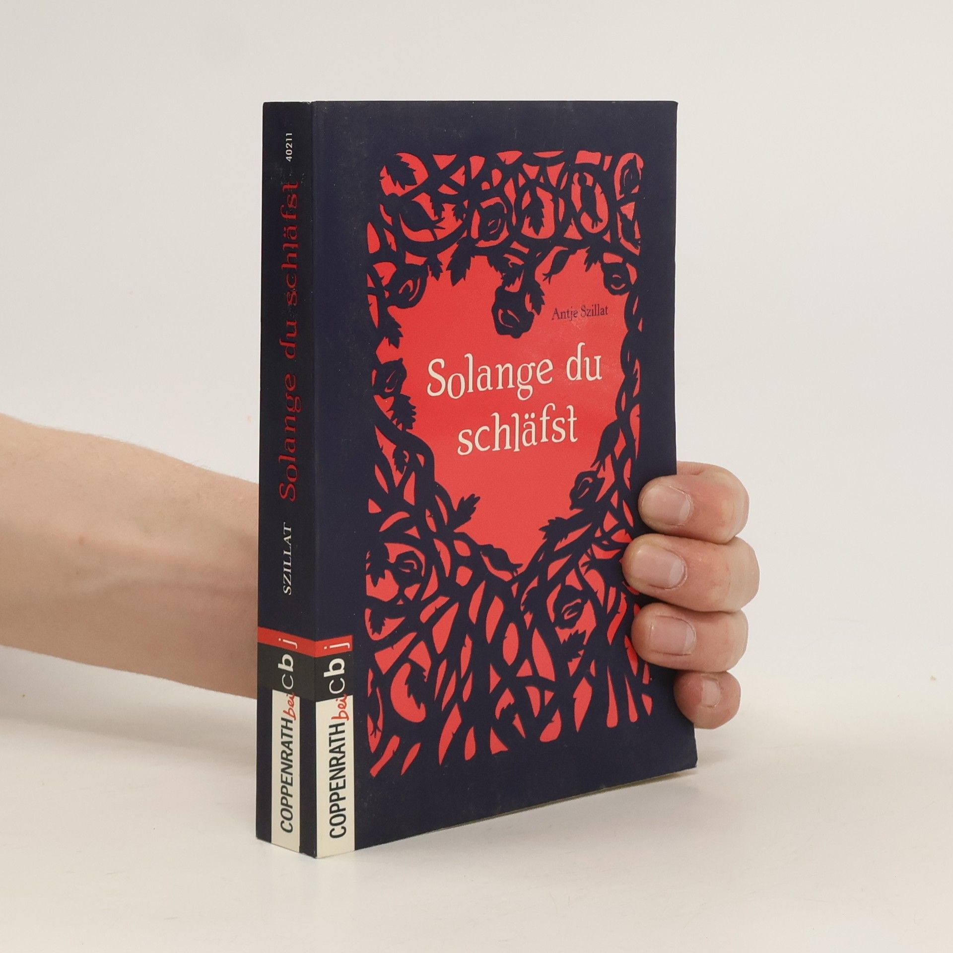 Antje Szillat Solange du schläfst