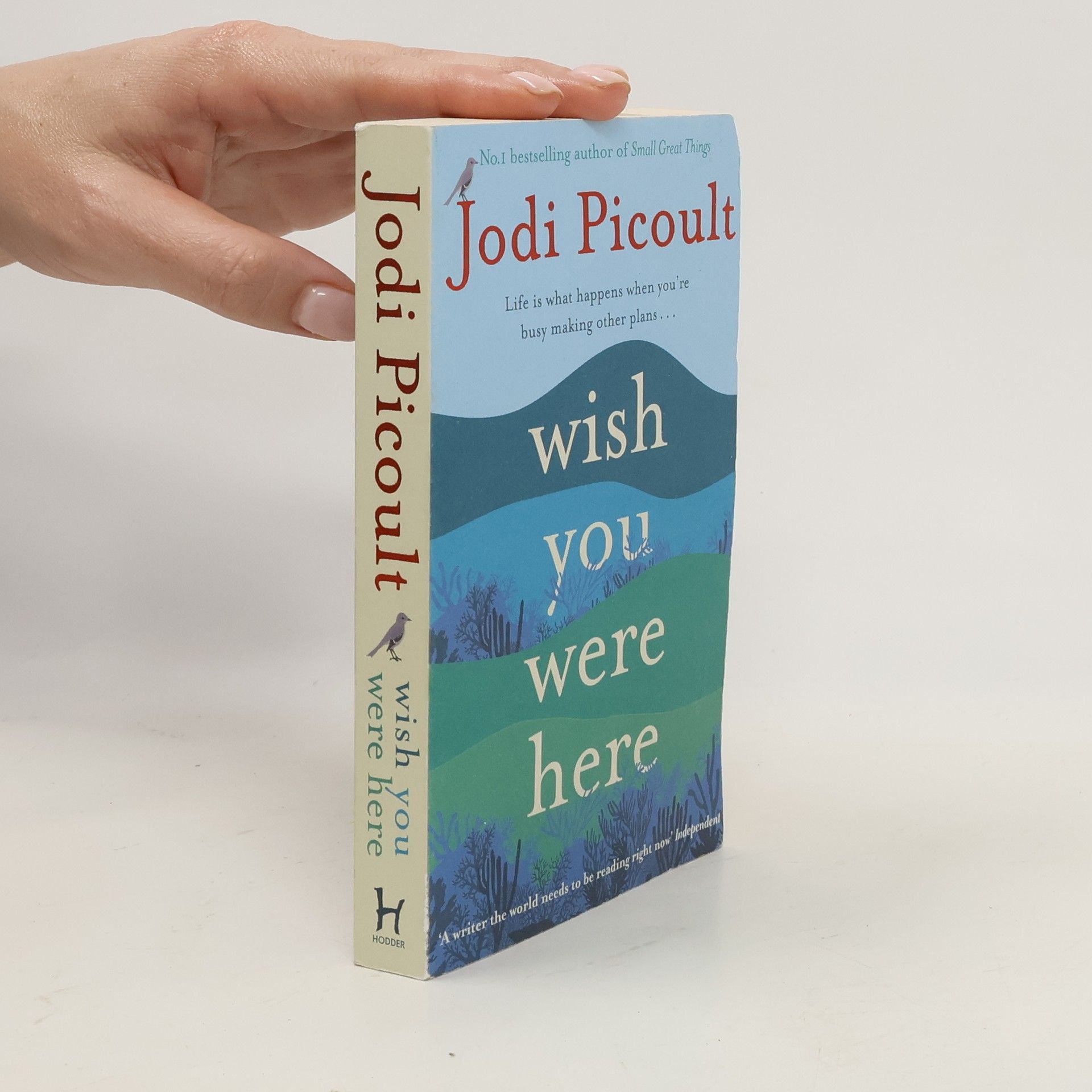 Jodi Picoult Wish you were here