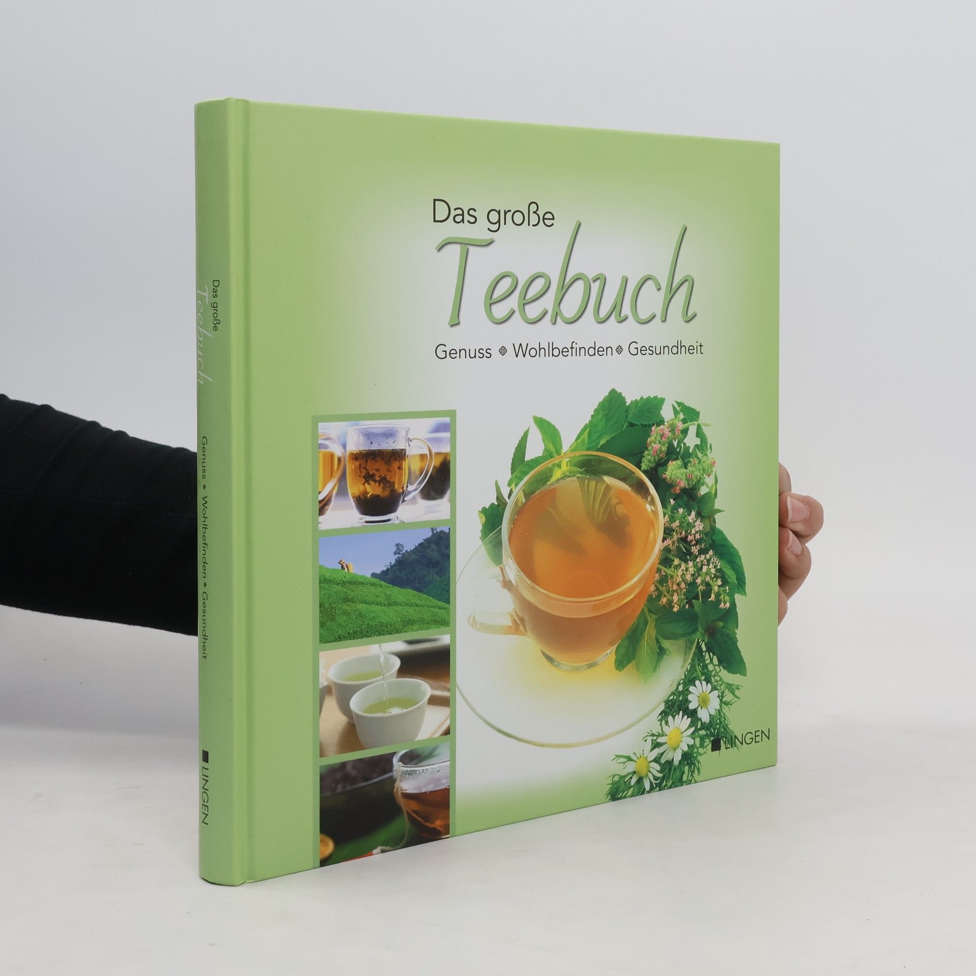 Ulrike Schöber Das große TeeBuch
