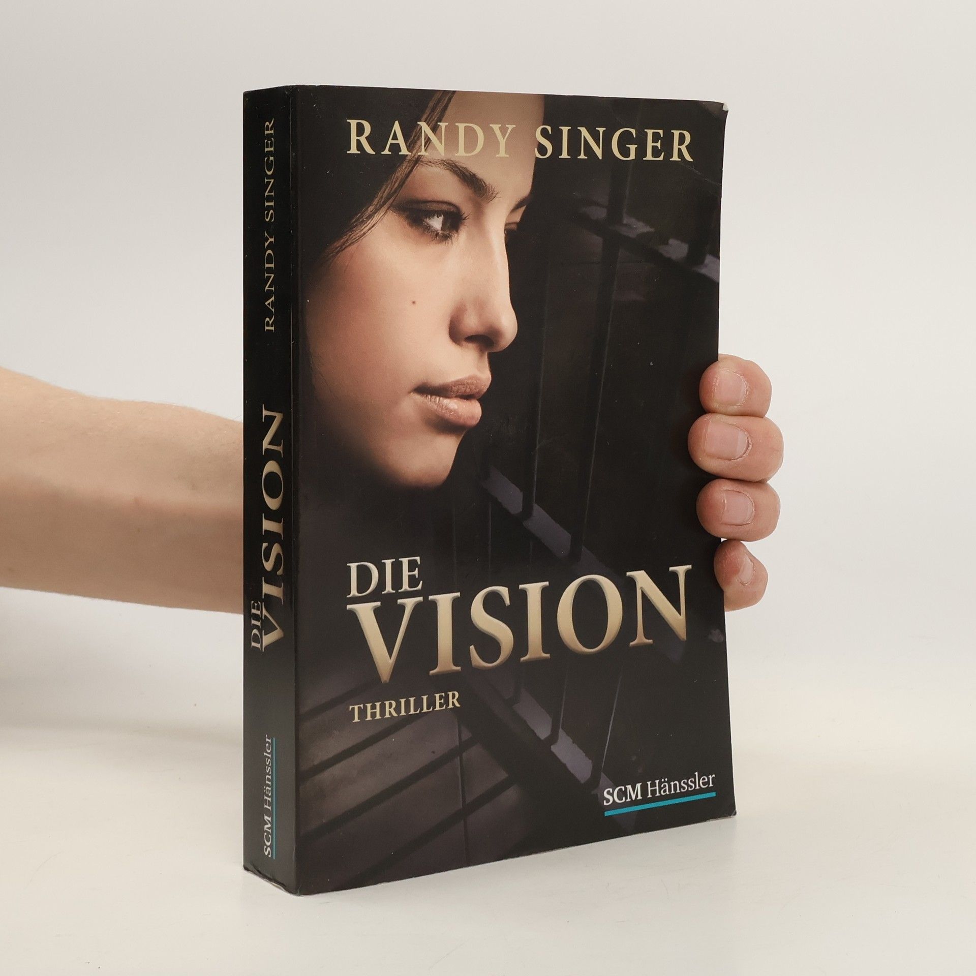 Randy Singer Die Vision