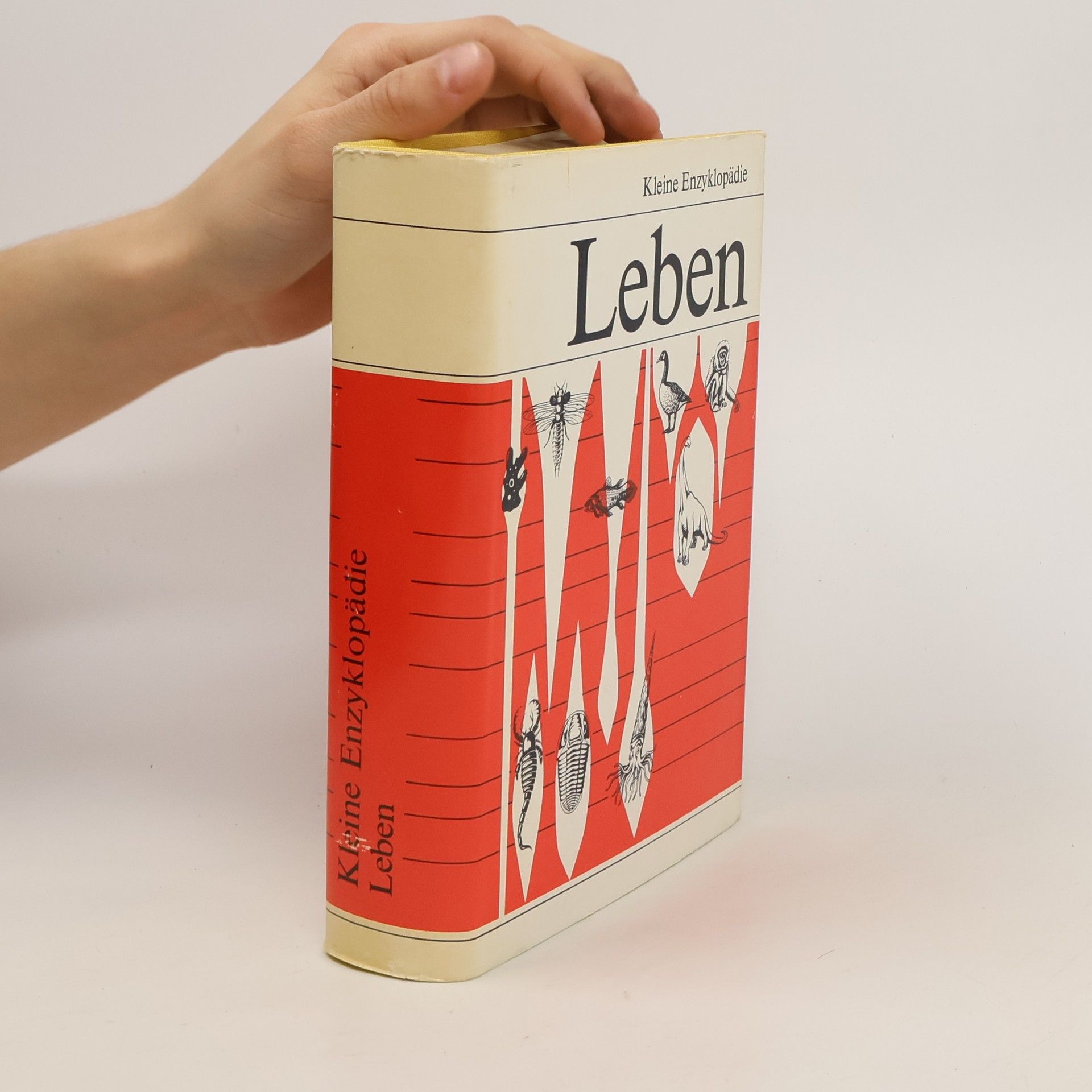 Collective Kleine Enzyklopädie Leben