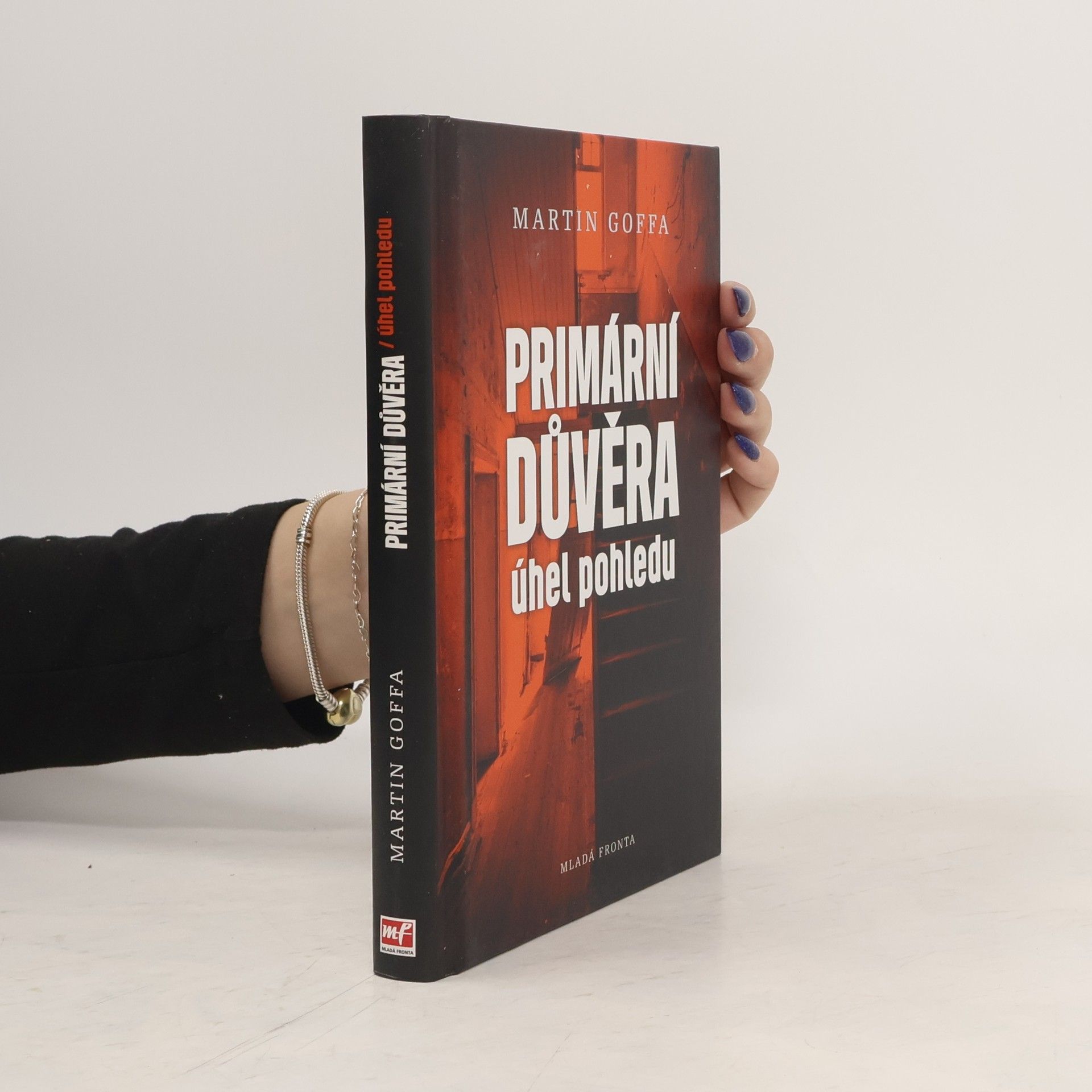 Martin Goffa Primární důvěra - úhel pohledu