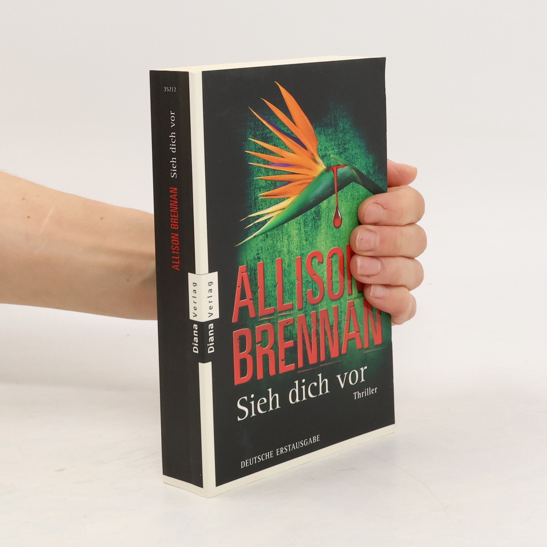 Allison Brennan Sieh dich vor
