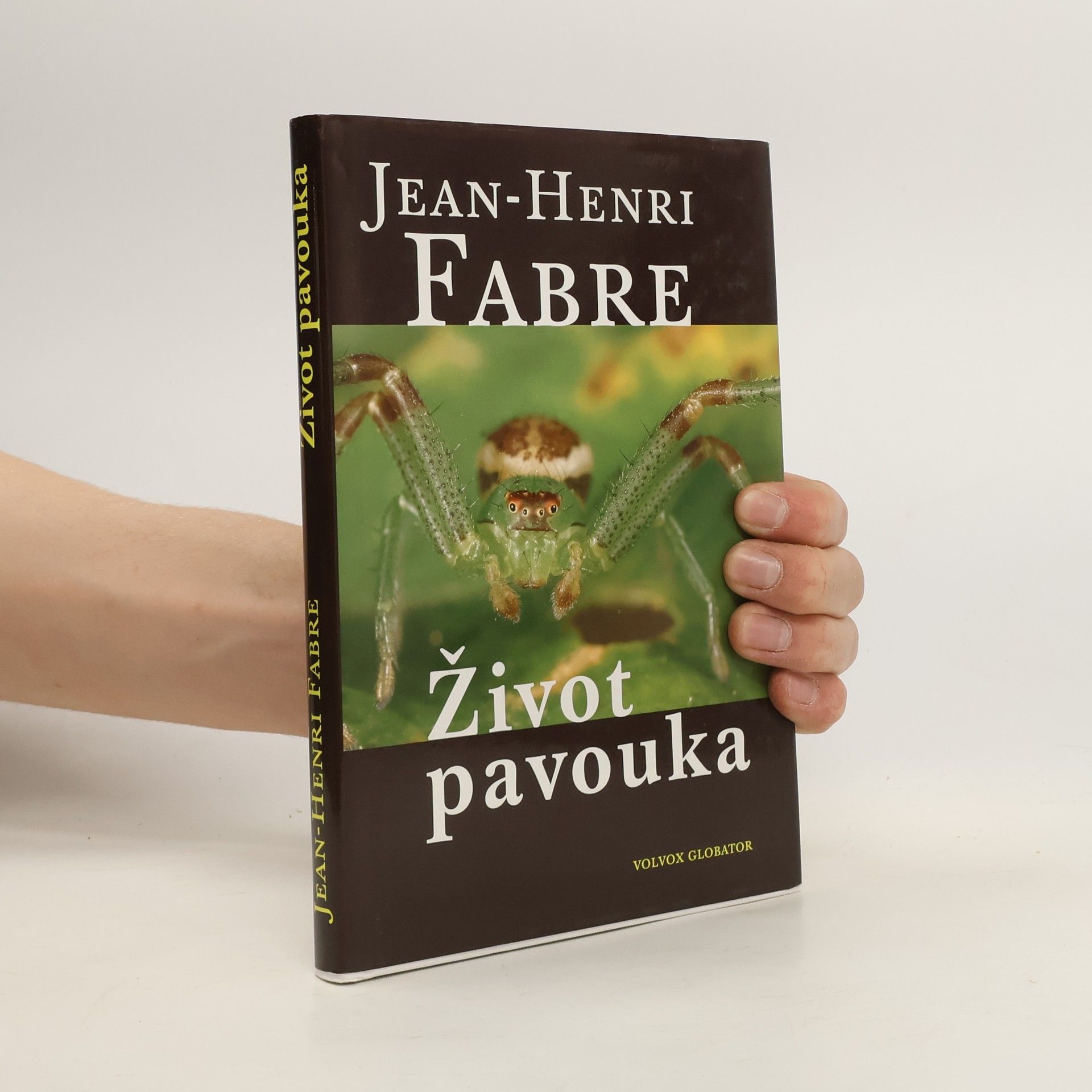 Jean Henri Fabre Život pavouka