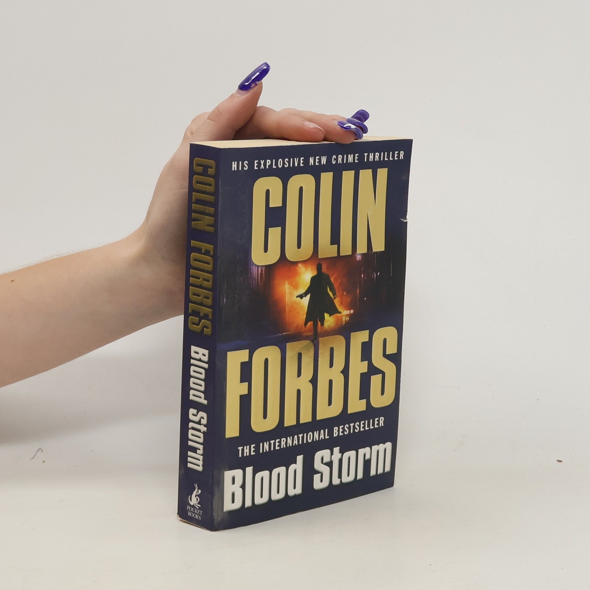 Colin Forbes Blood Storm