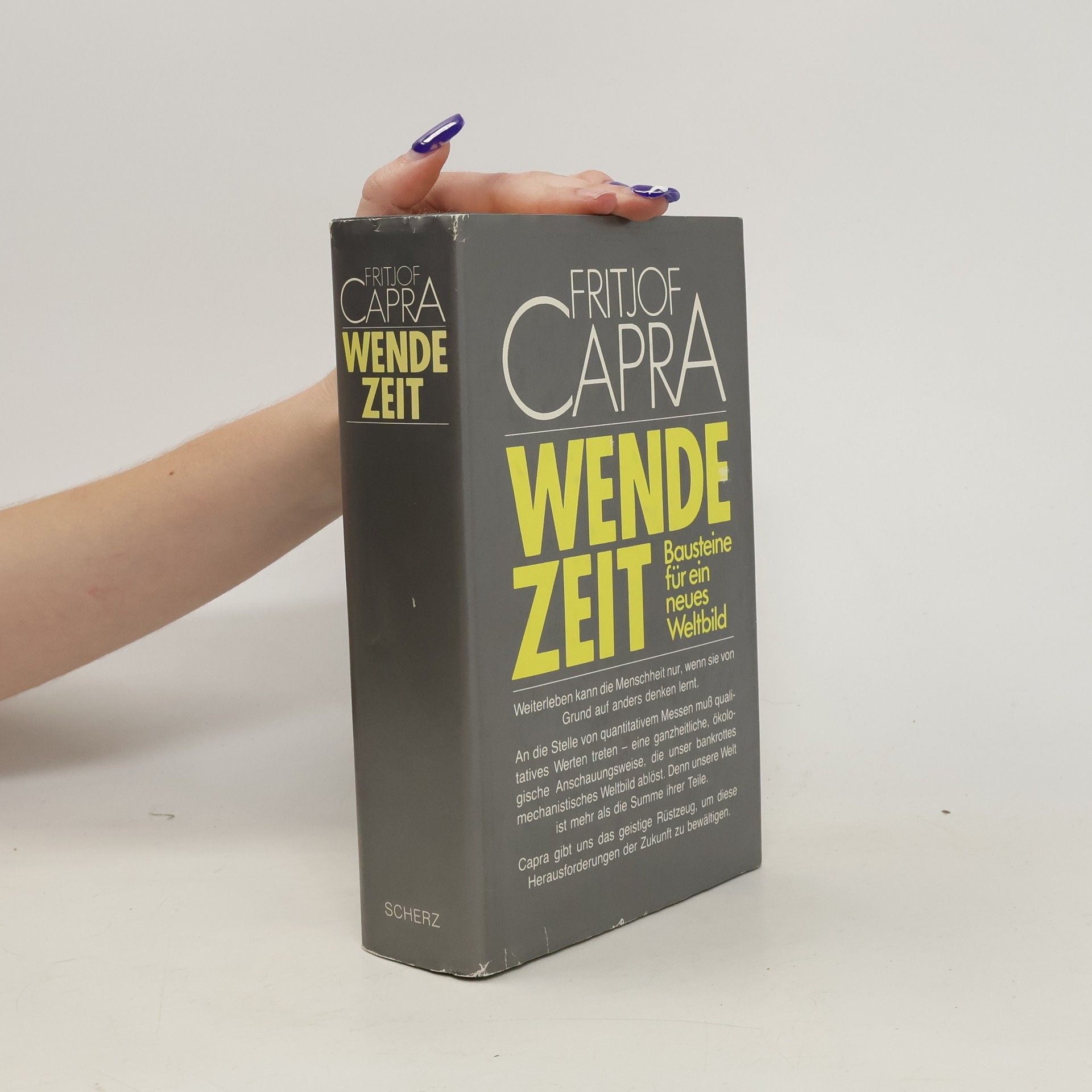Fritjof Capra Wendezeit