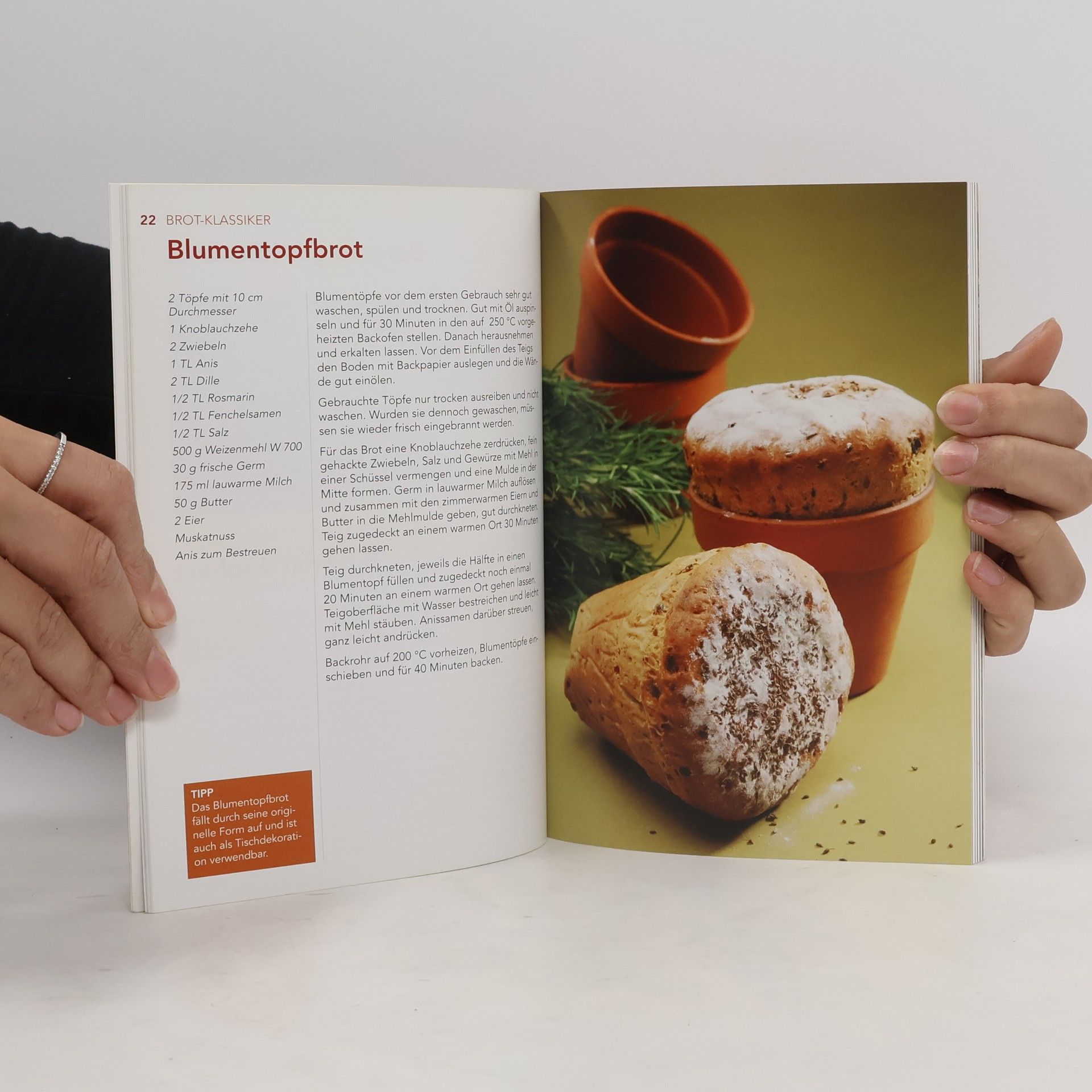 Autorenkollektiv Brote, Kipferl & Weckerl