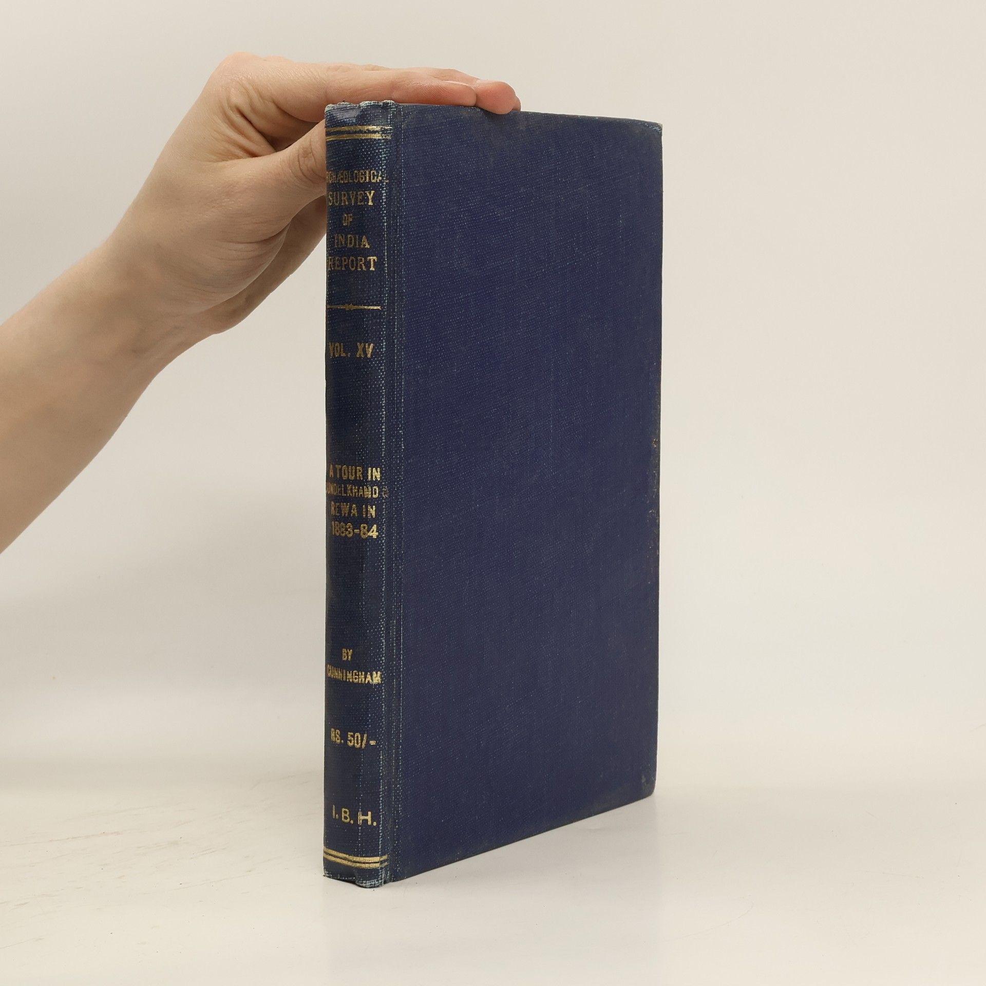 Alexander Cunningham Report of a Tour in Bihar and Bengal in 1879-80 from Patna to Sunagaon. Volume XV