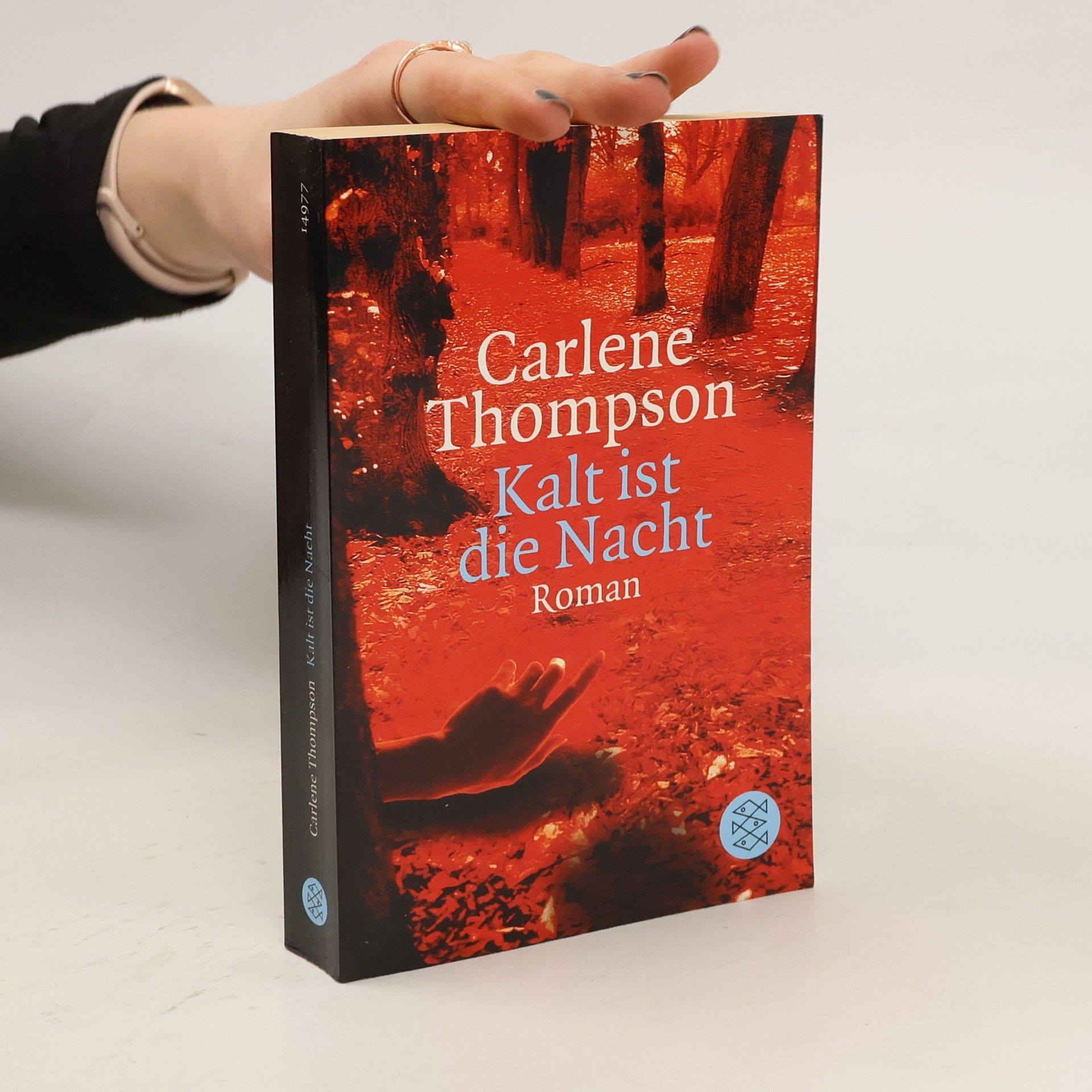 Carlene Thompson Kalt ist die Nacht