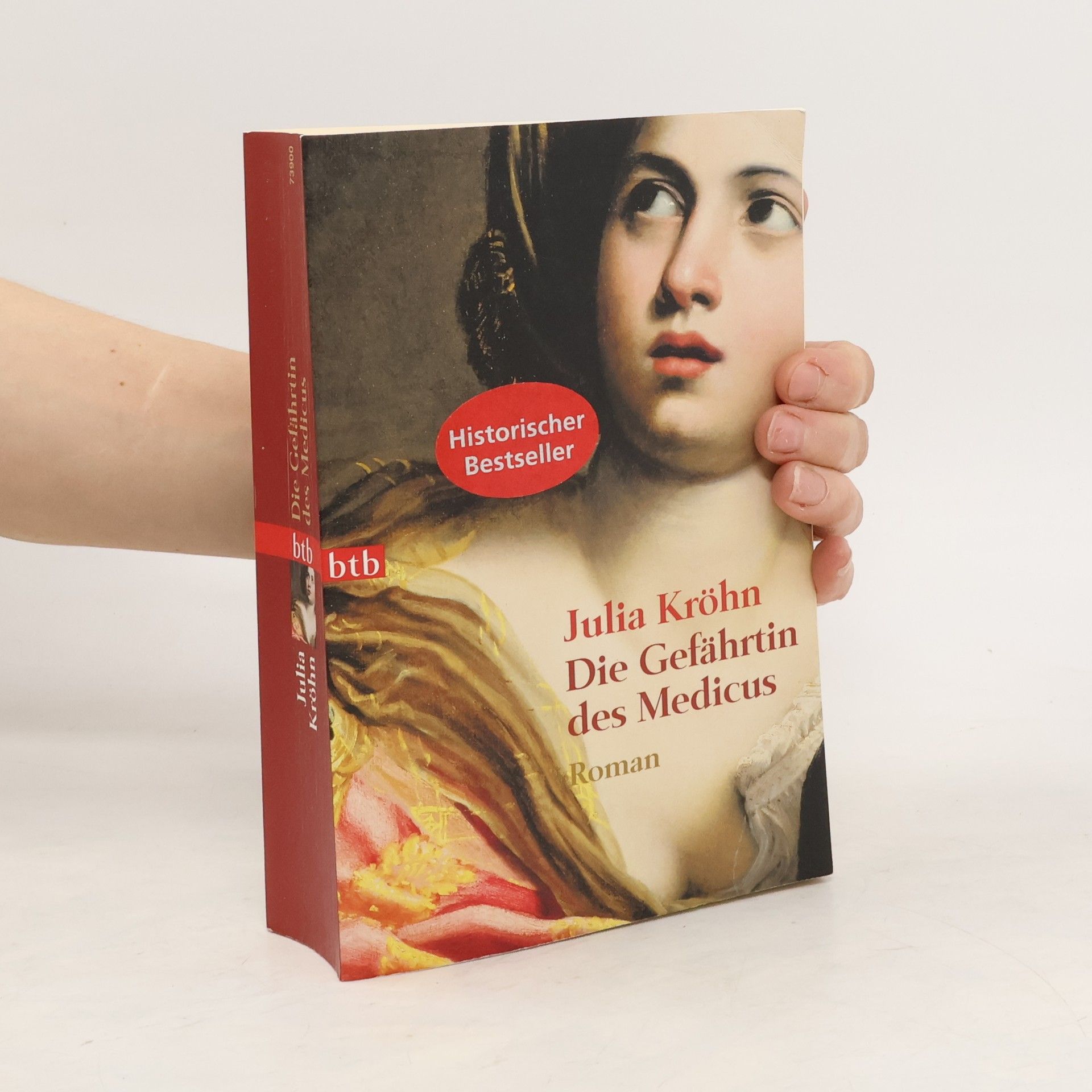 Julia Kröhn Die Gefährtin des Medicus