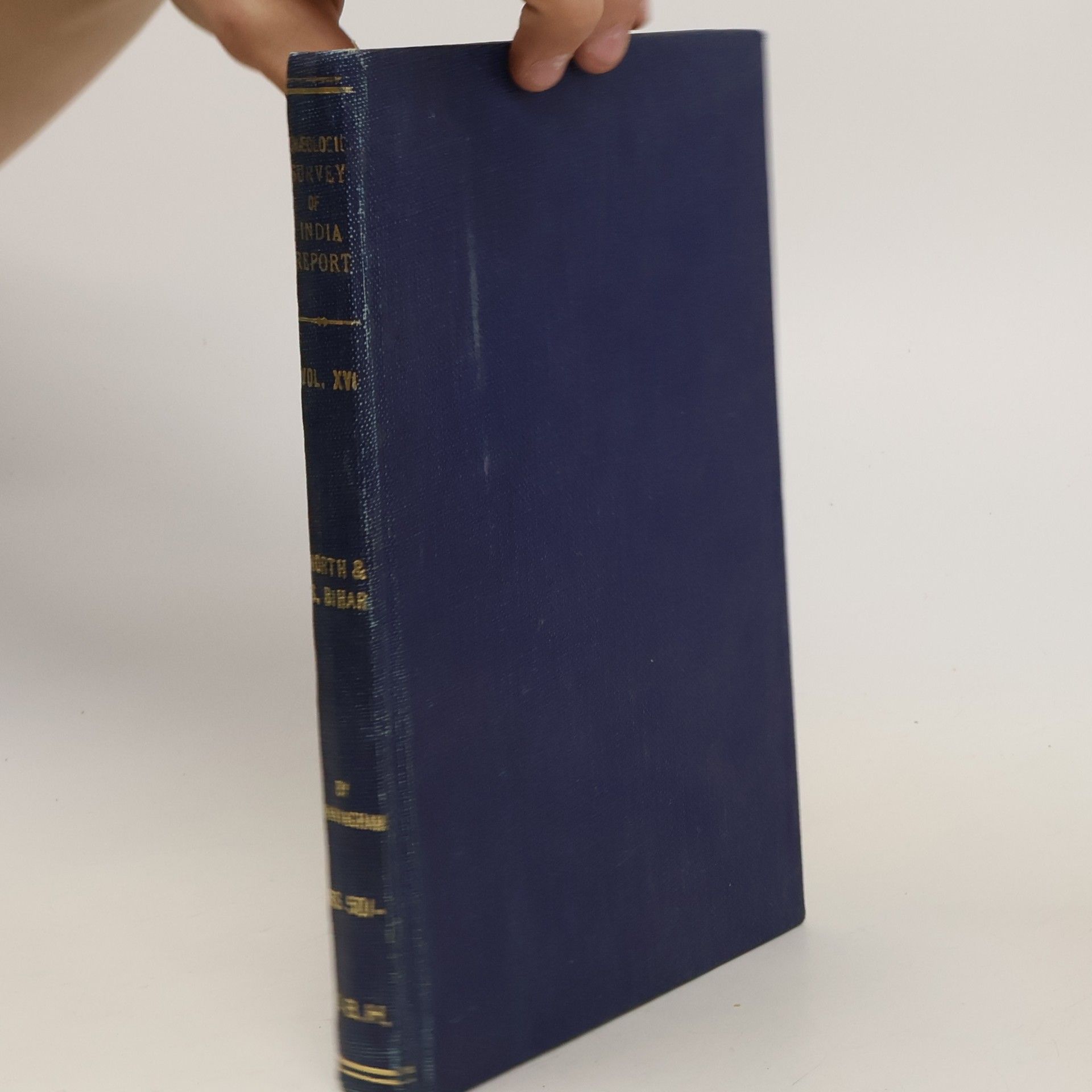 Alexander Cunningham Report of Tours in North and South Bihar in 1880-81