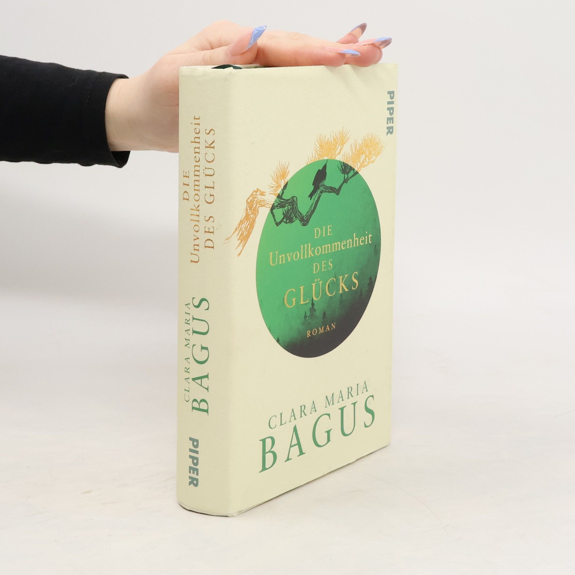 Clara Maria Bagus Die Unvollkommenheit des Glücks