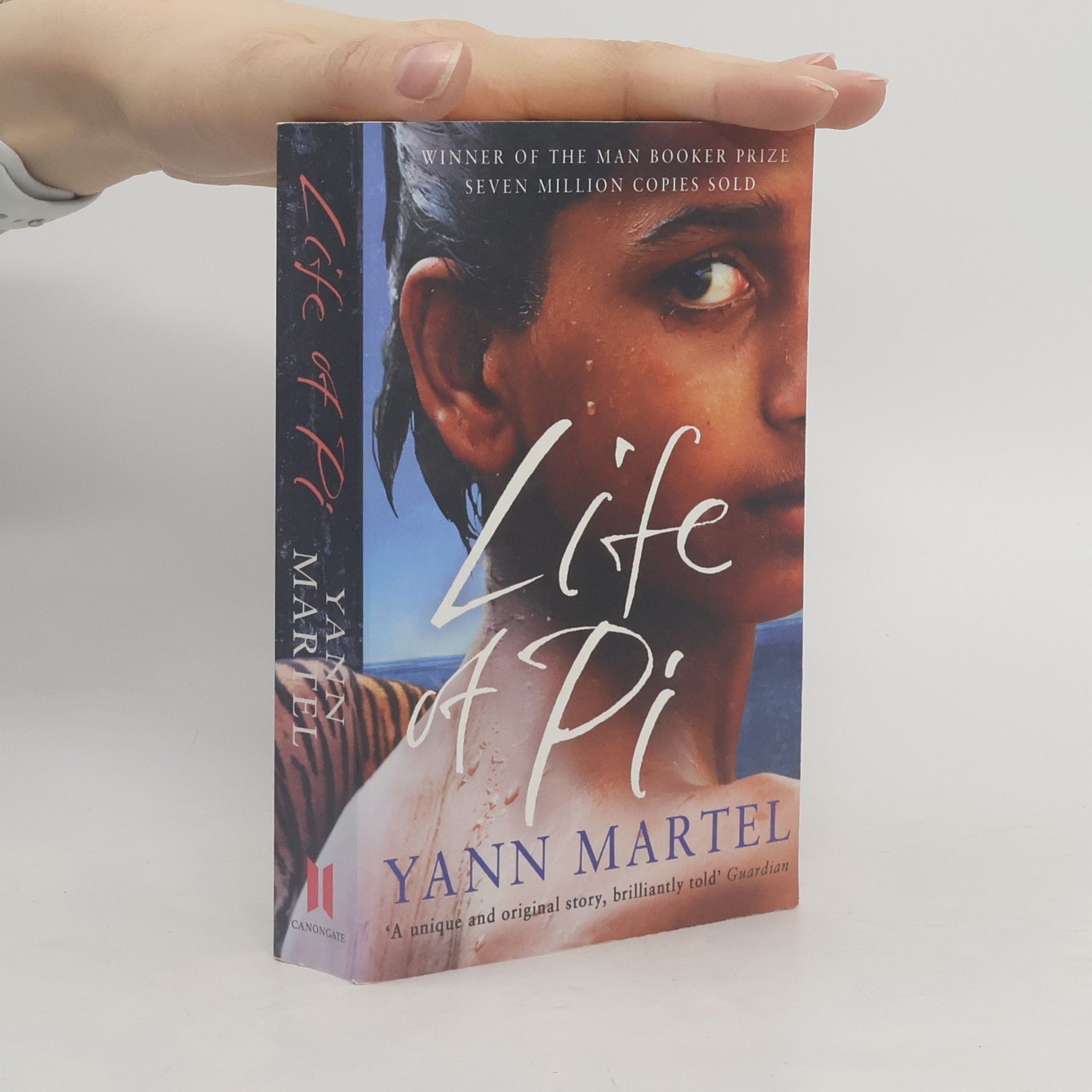 Yann Martel Life of Pi