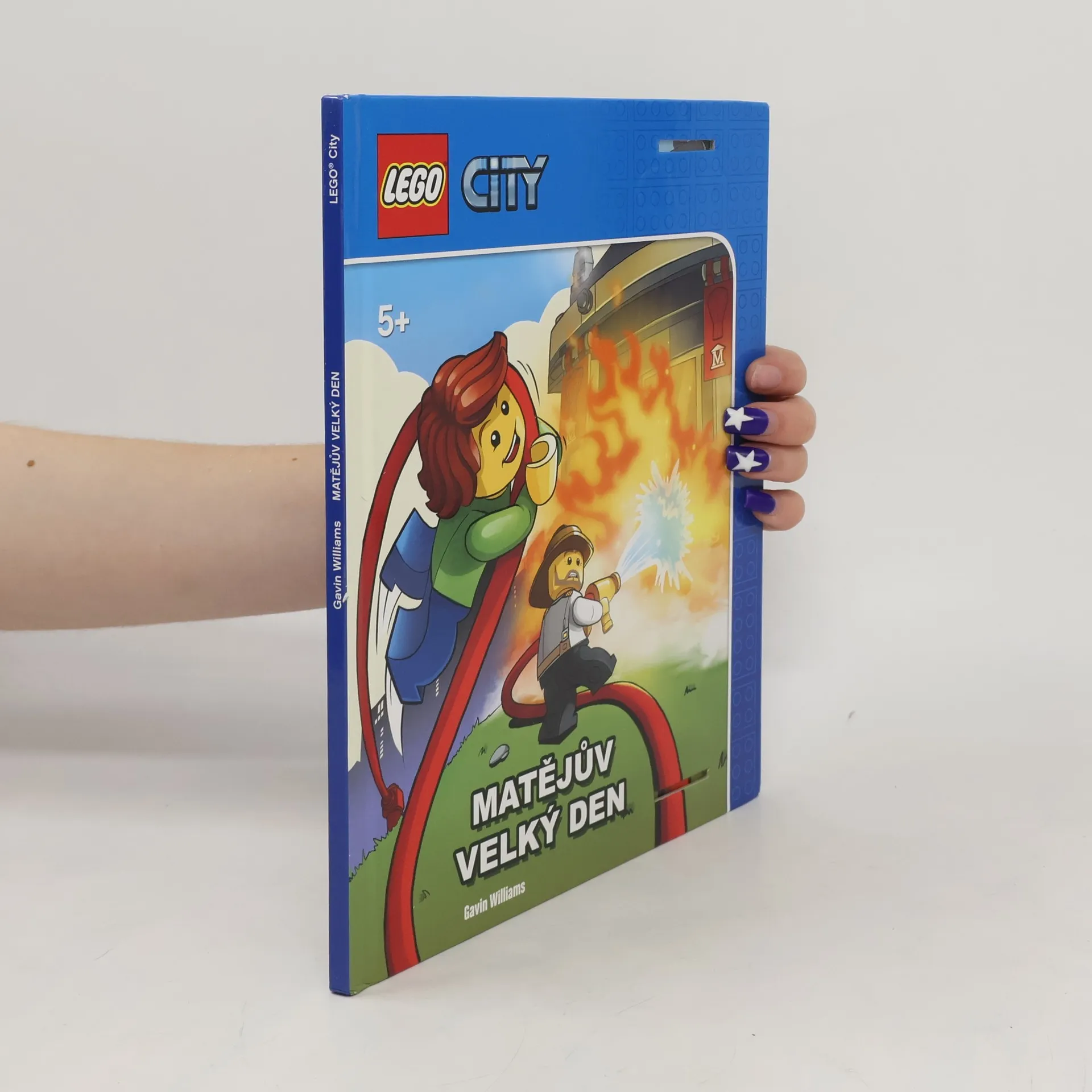 LEGO city. Matějův velký den | Kniha | Gavin Williams