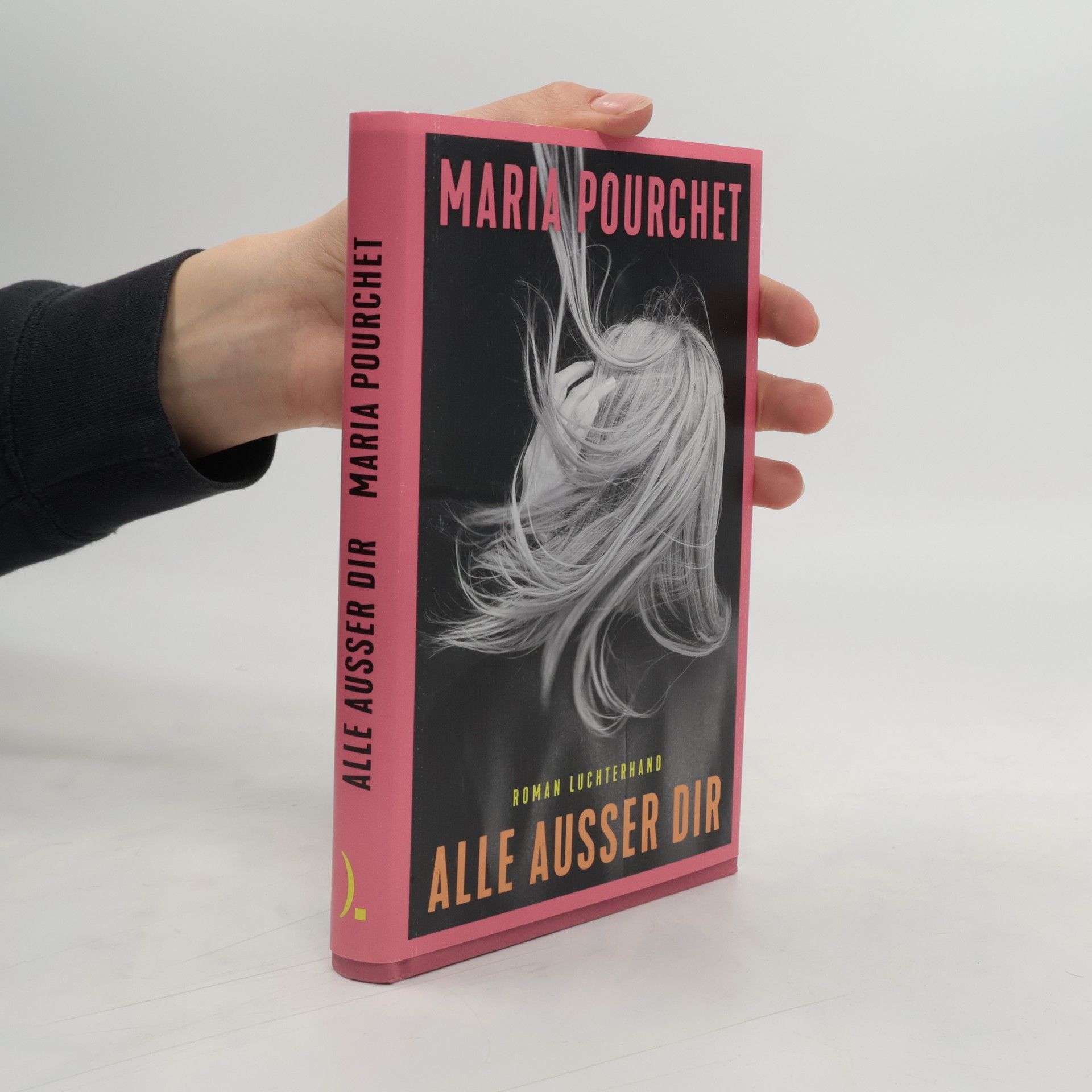 Maria Pourchet Alle außer dir. Roman