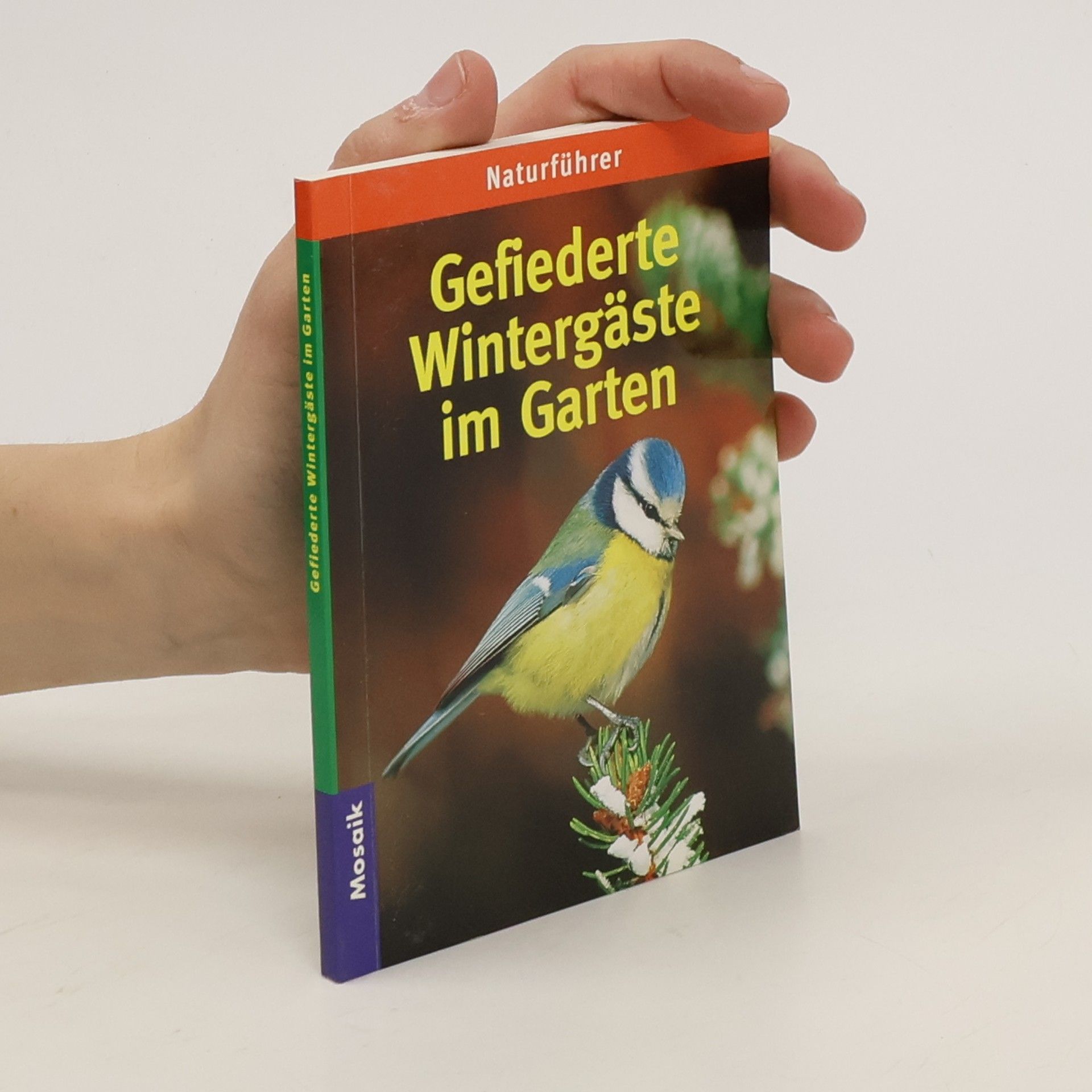 Hannelore Forster Gefiederte Wintergäste im Garten