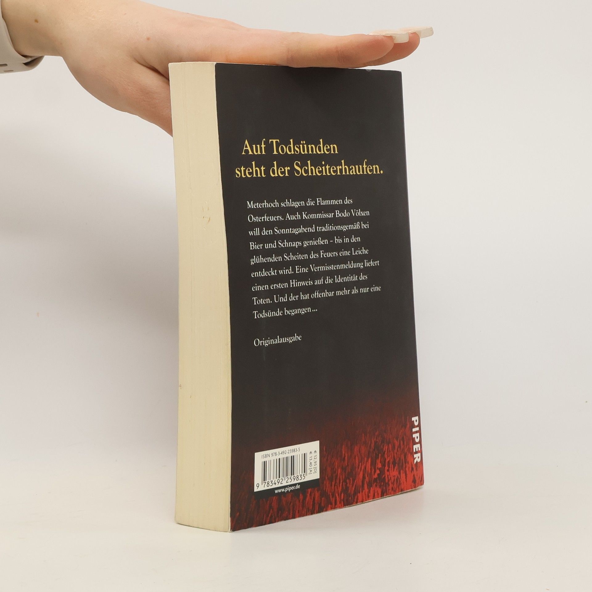 Susanne Mischke Totenfeuer