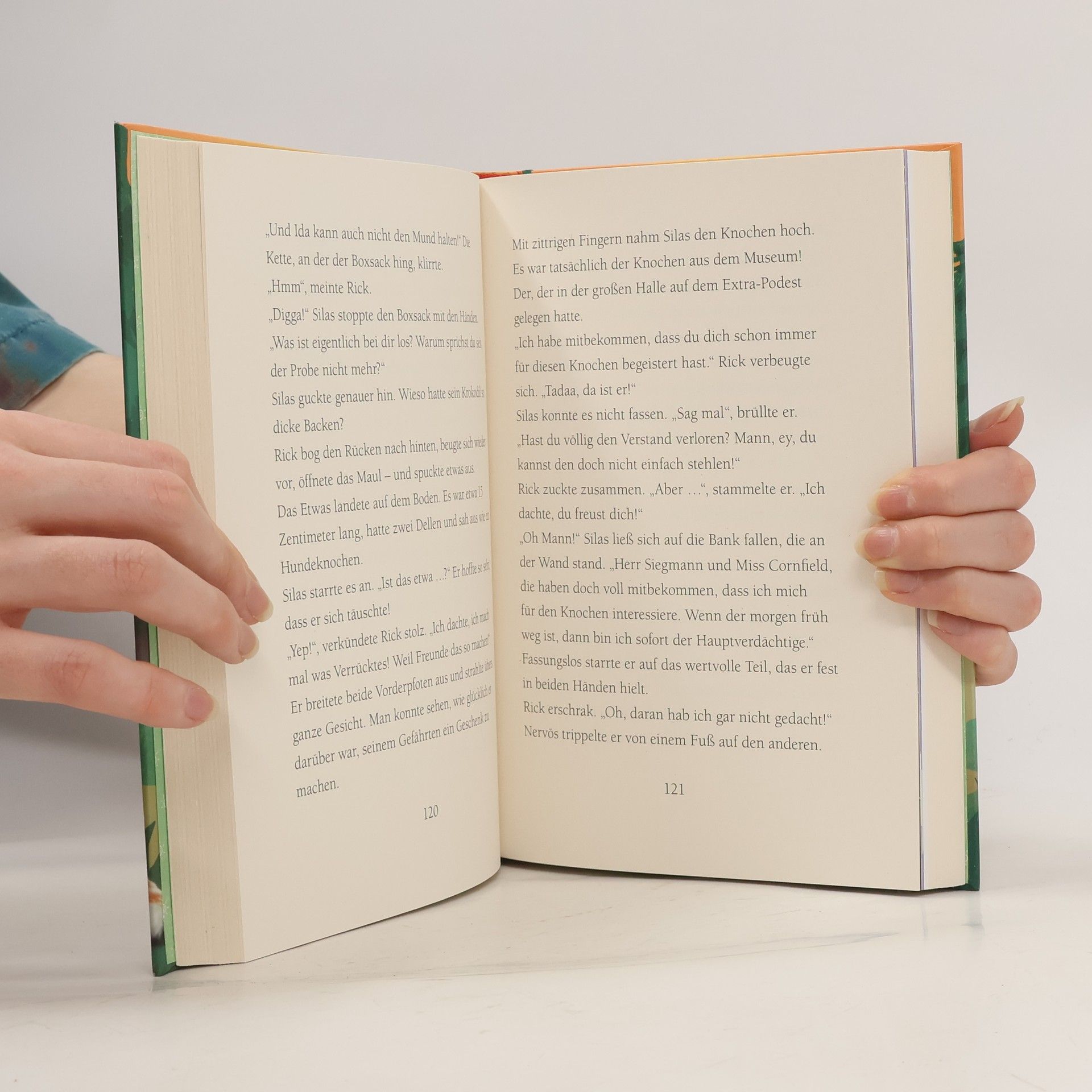 Margit Auer Die Schule der magischen Tiere 3: Das Buch zum Film