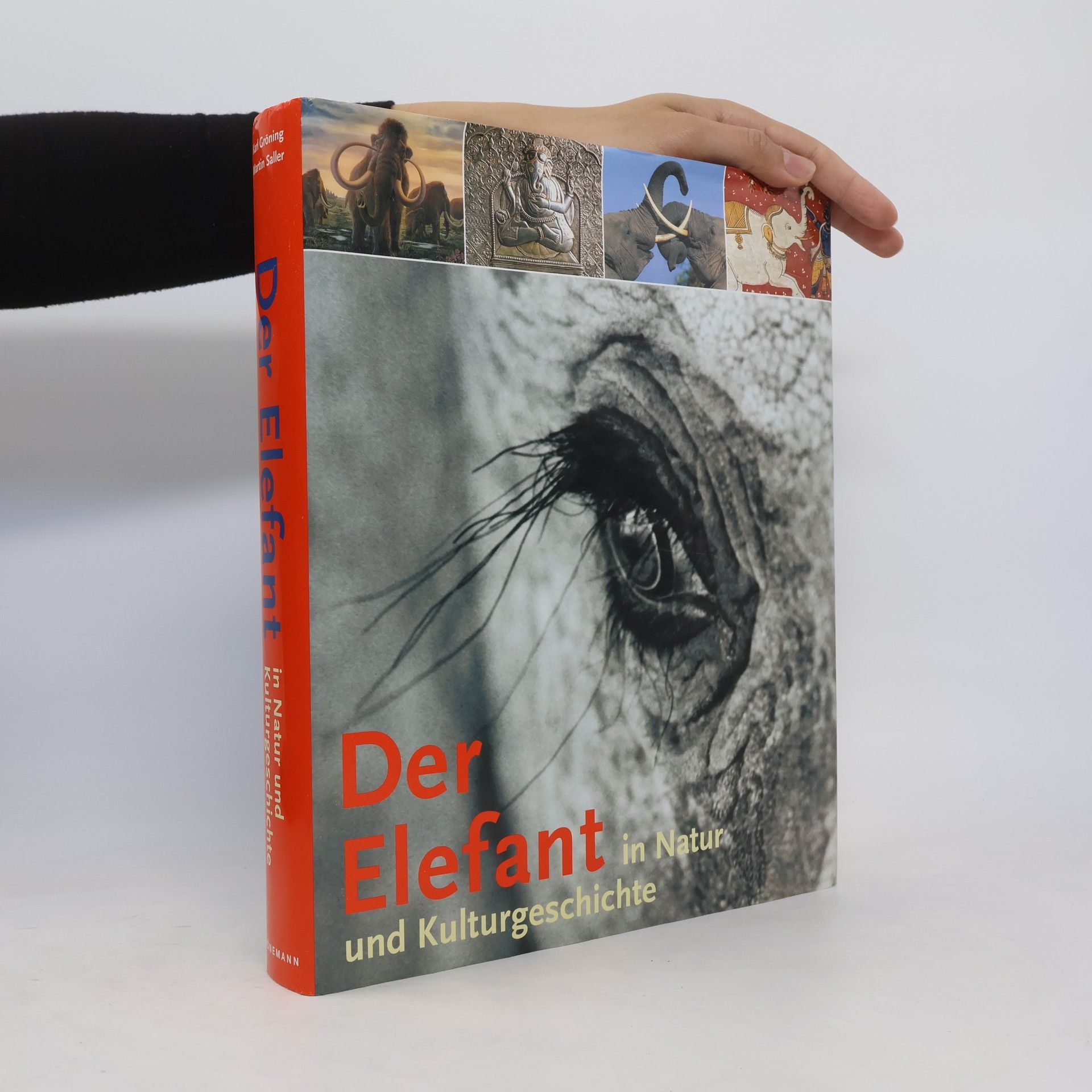Karl Gröning Der Elefant in Natur und Kulturgeschichte