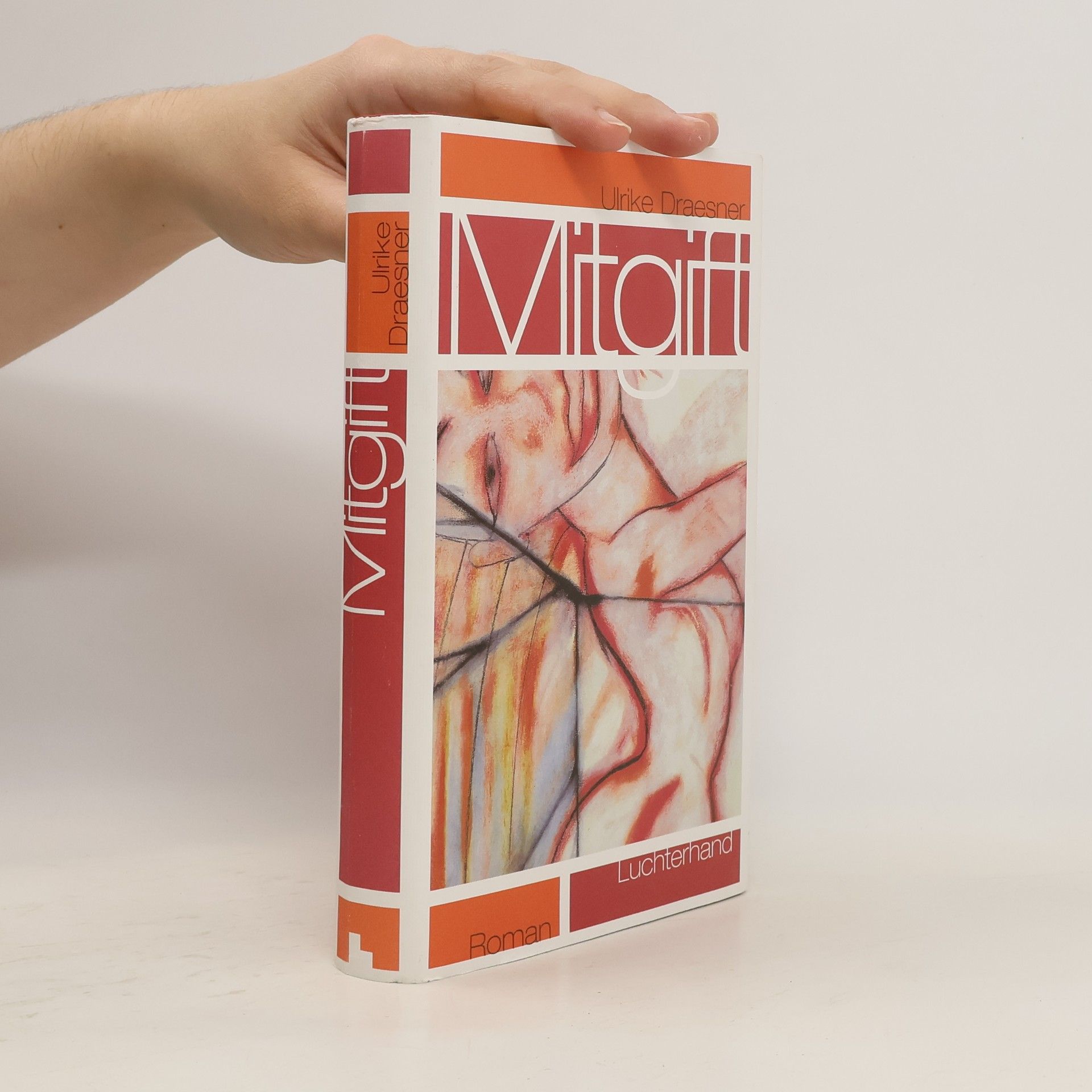 Ulrike Draesner Mitgift
