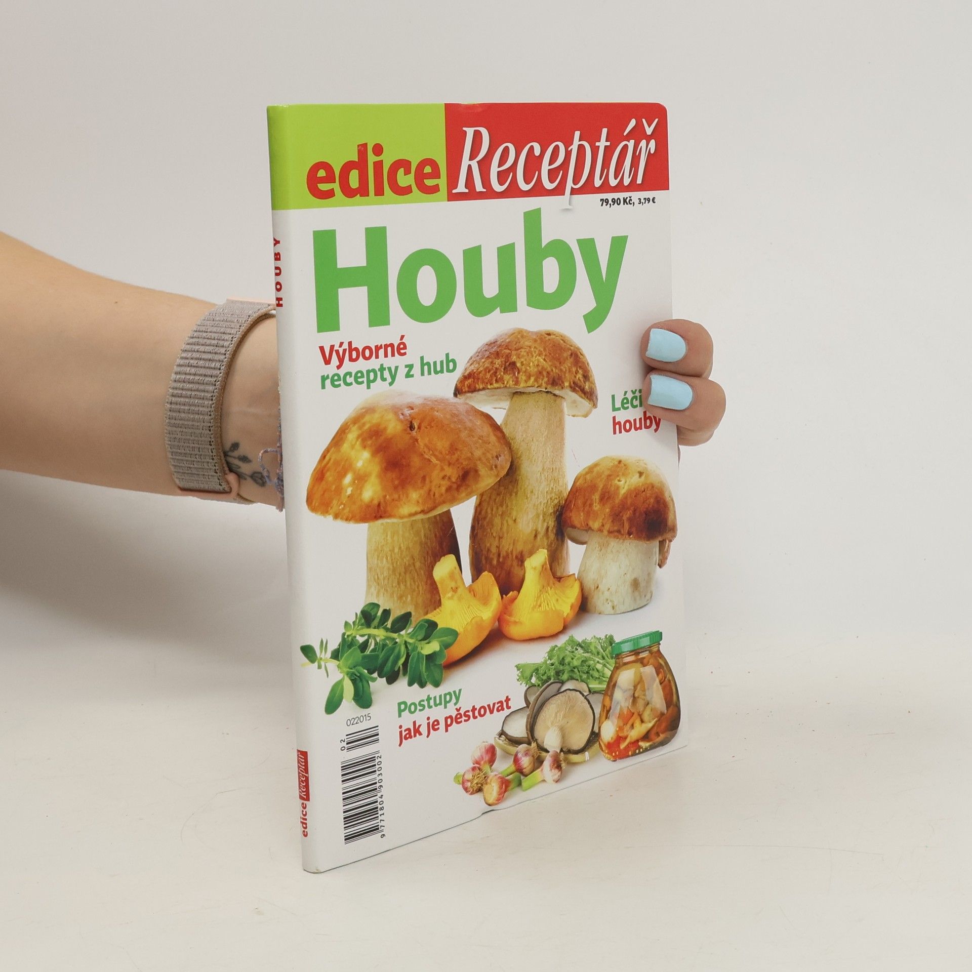 Autorenkollektiv Houby