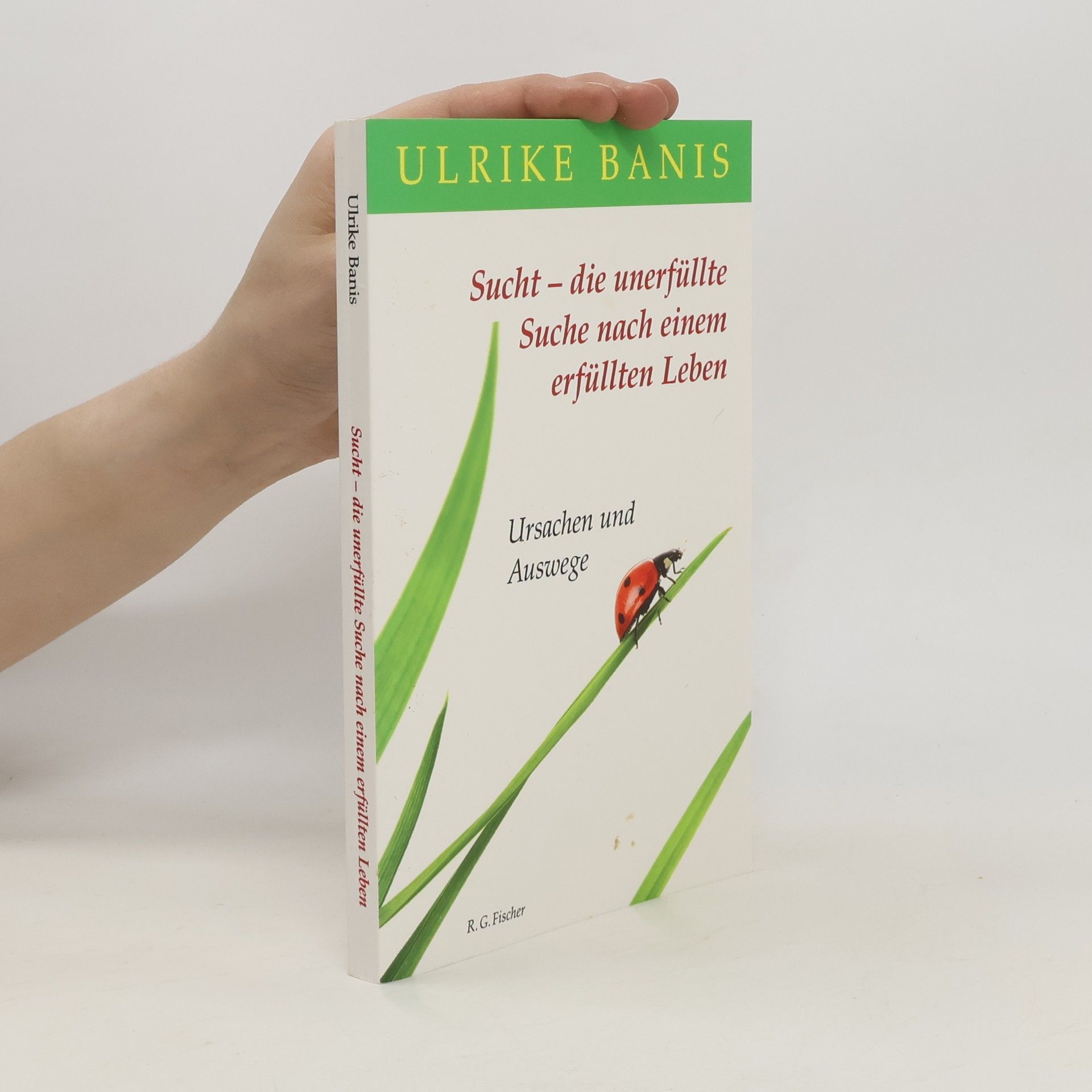Ulrike Güdel Sucht - die unerfüllte Suche nach einem erfüllten Leben