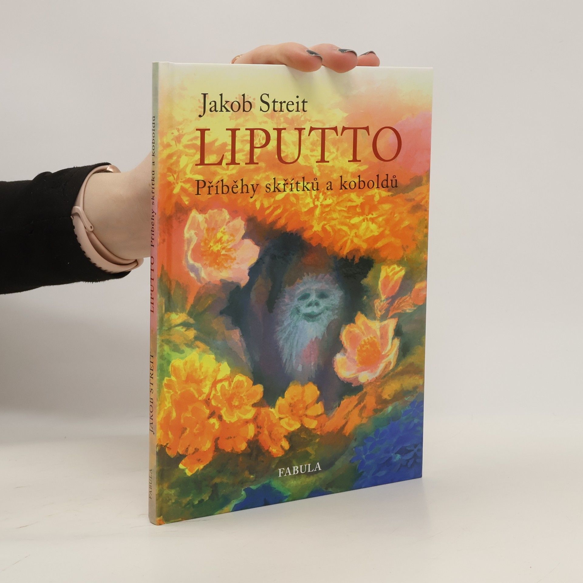 Jakob Streit Liputto : příběhy skřítků a koboldů
